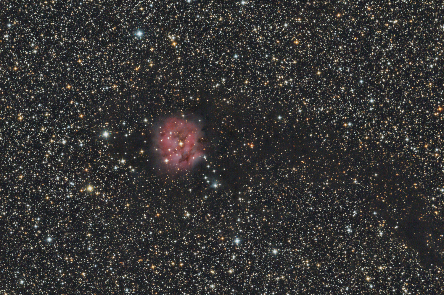 IC 5146, Caldwell 19, Barnard 168 v Cyg