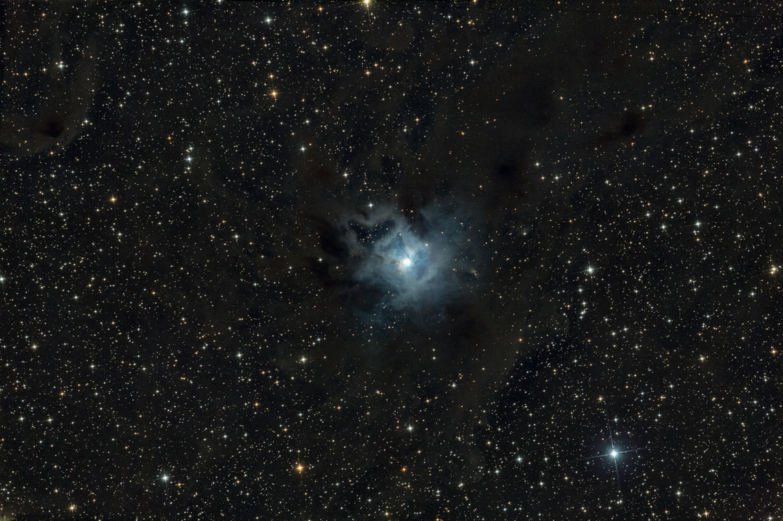 NGC 7023 - Iris, Cr427