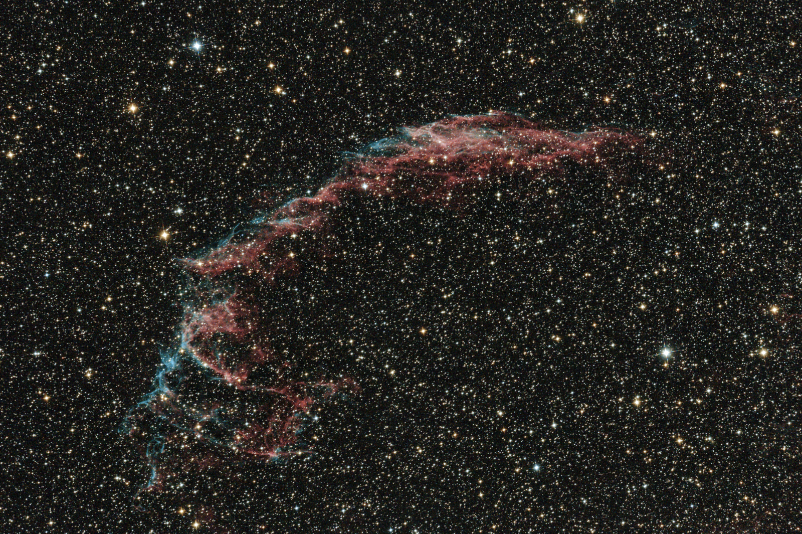 NGC 6992, Řasy v Cyg