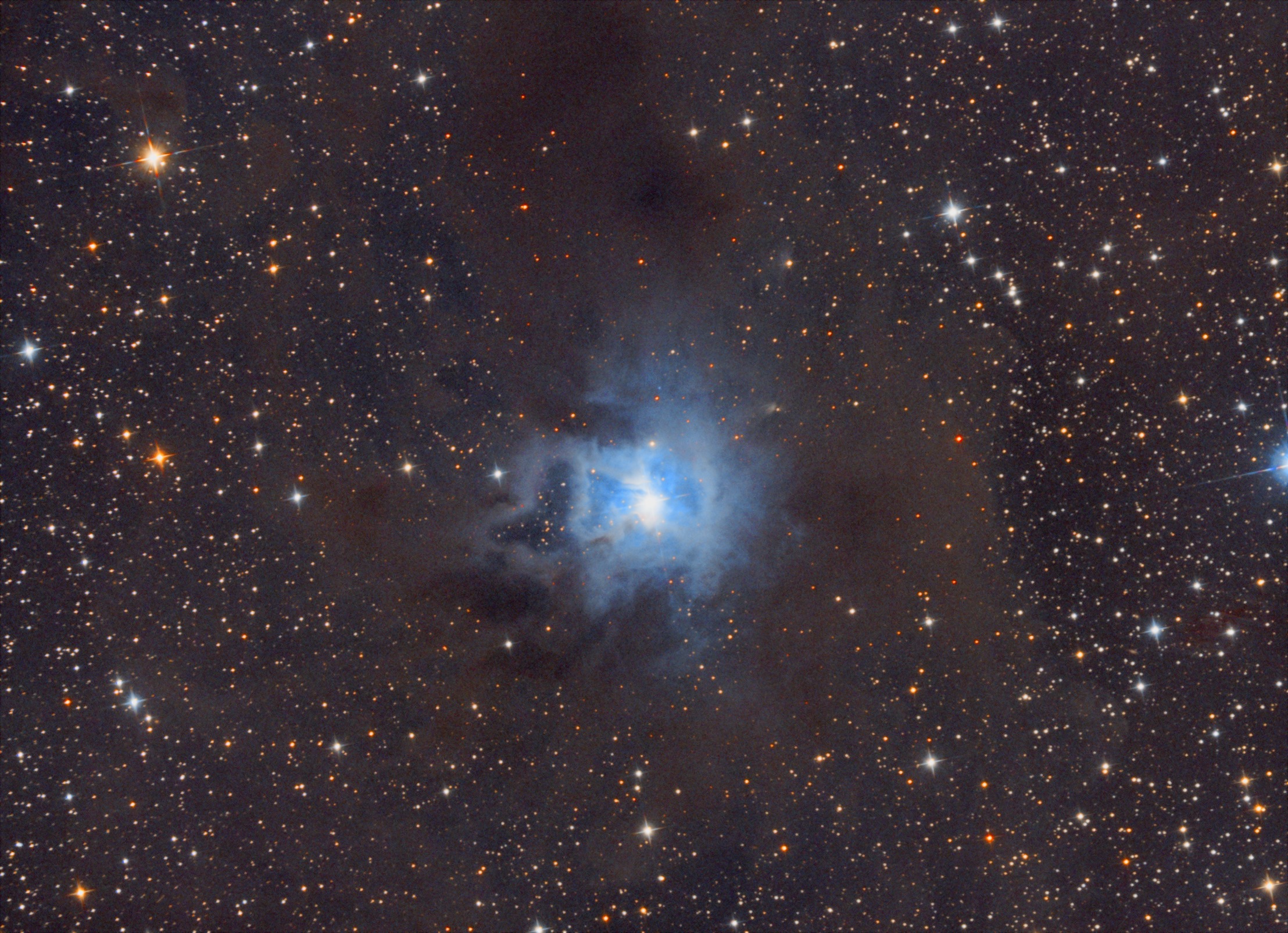 NGC 7023 Iris