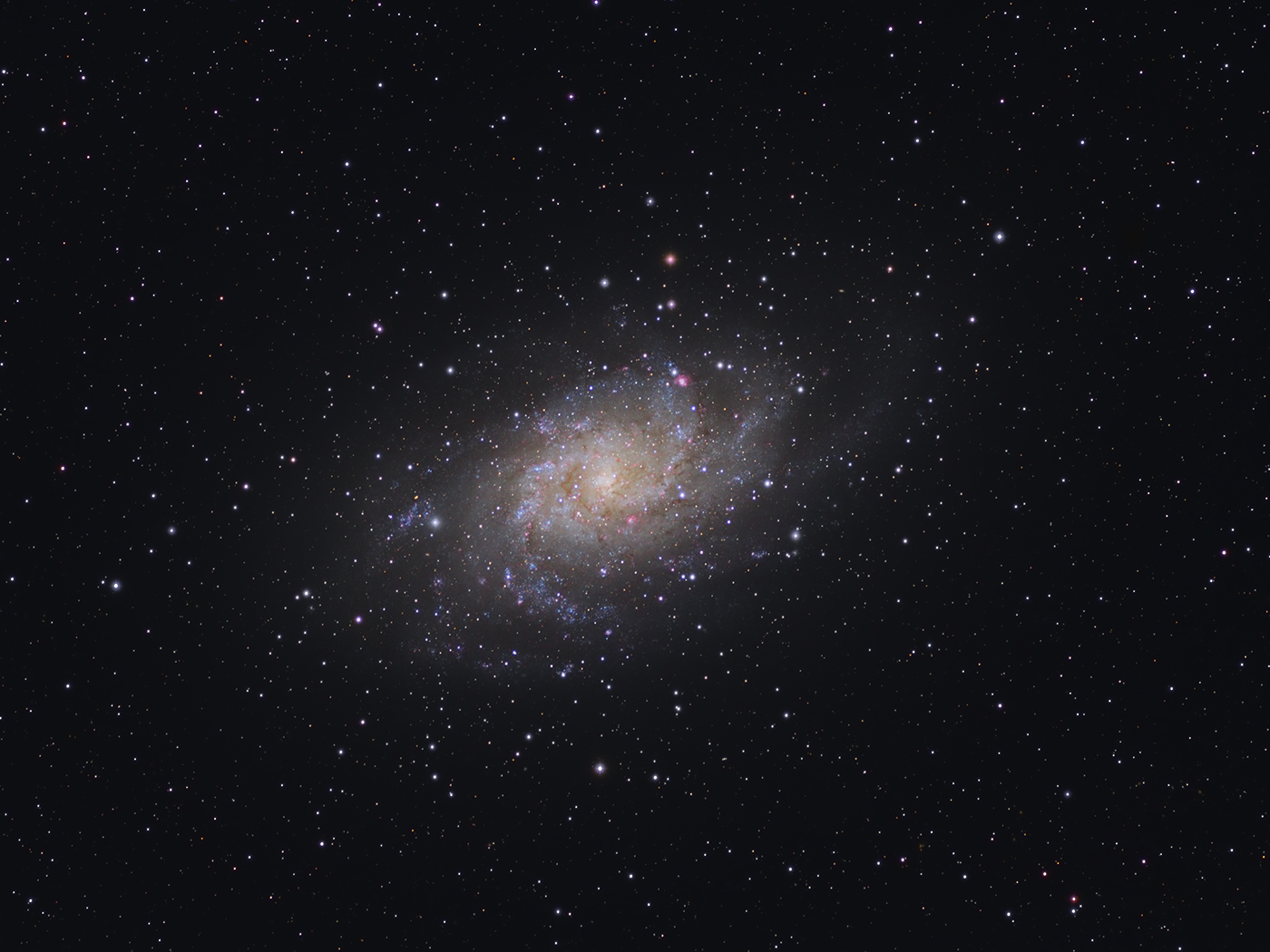 M33