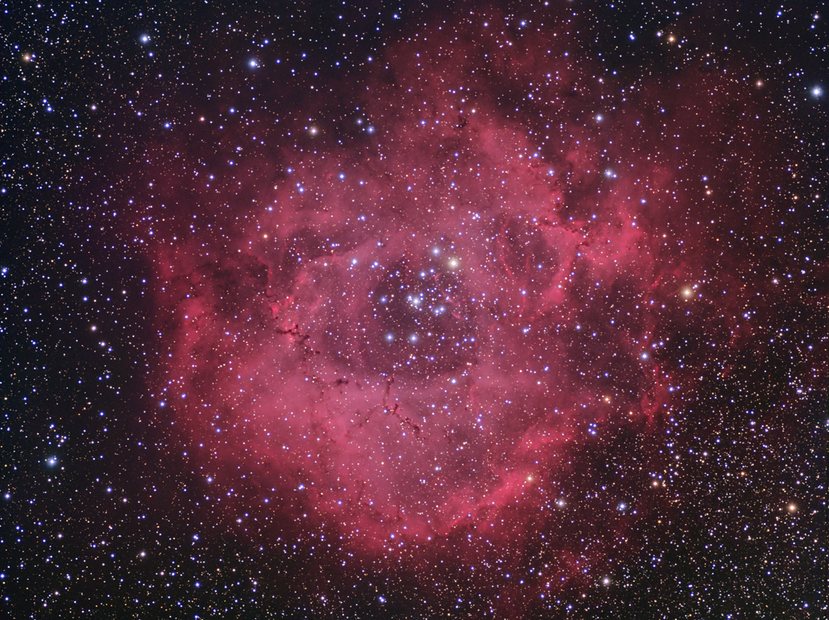 NGC2237, Rosette (NGC2244, open cluster)