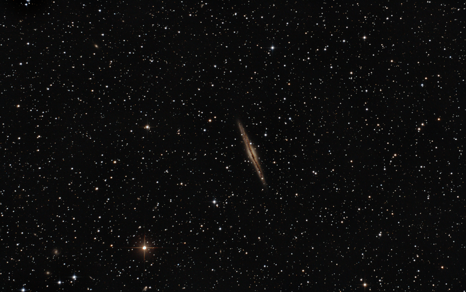 NGC891