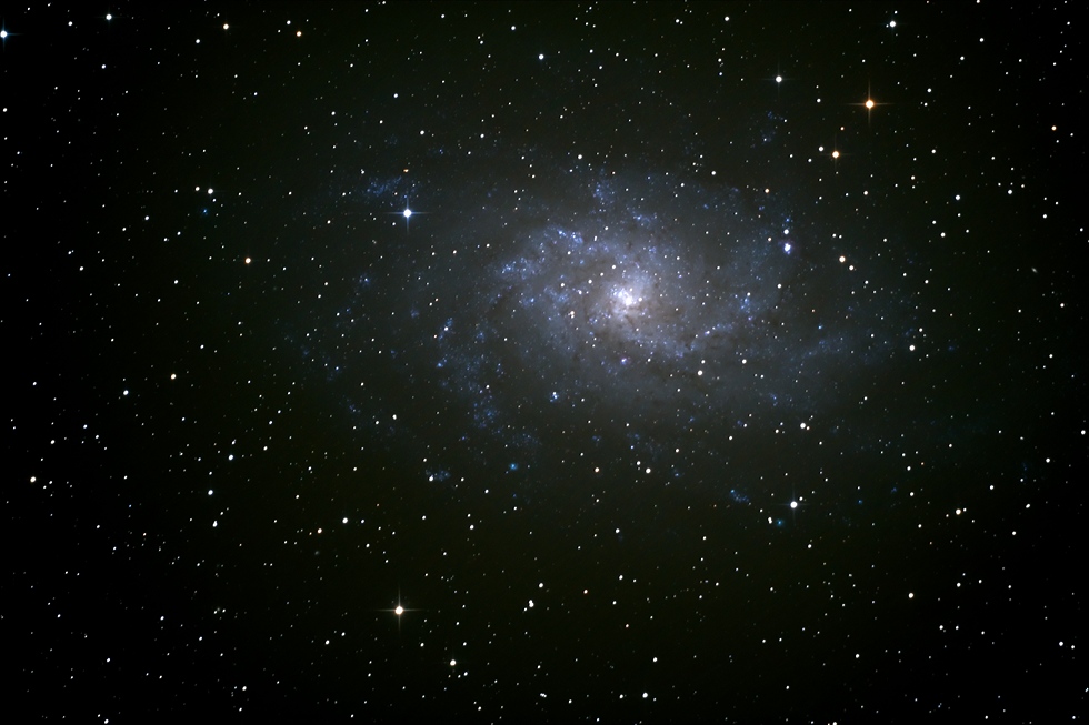 M33