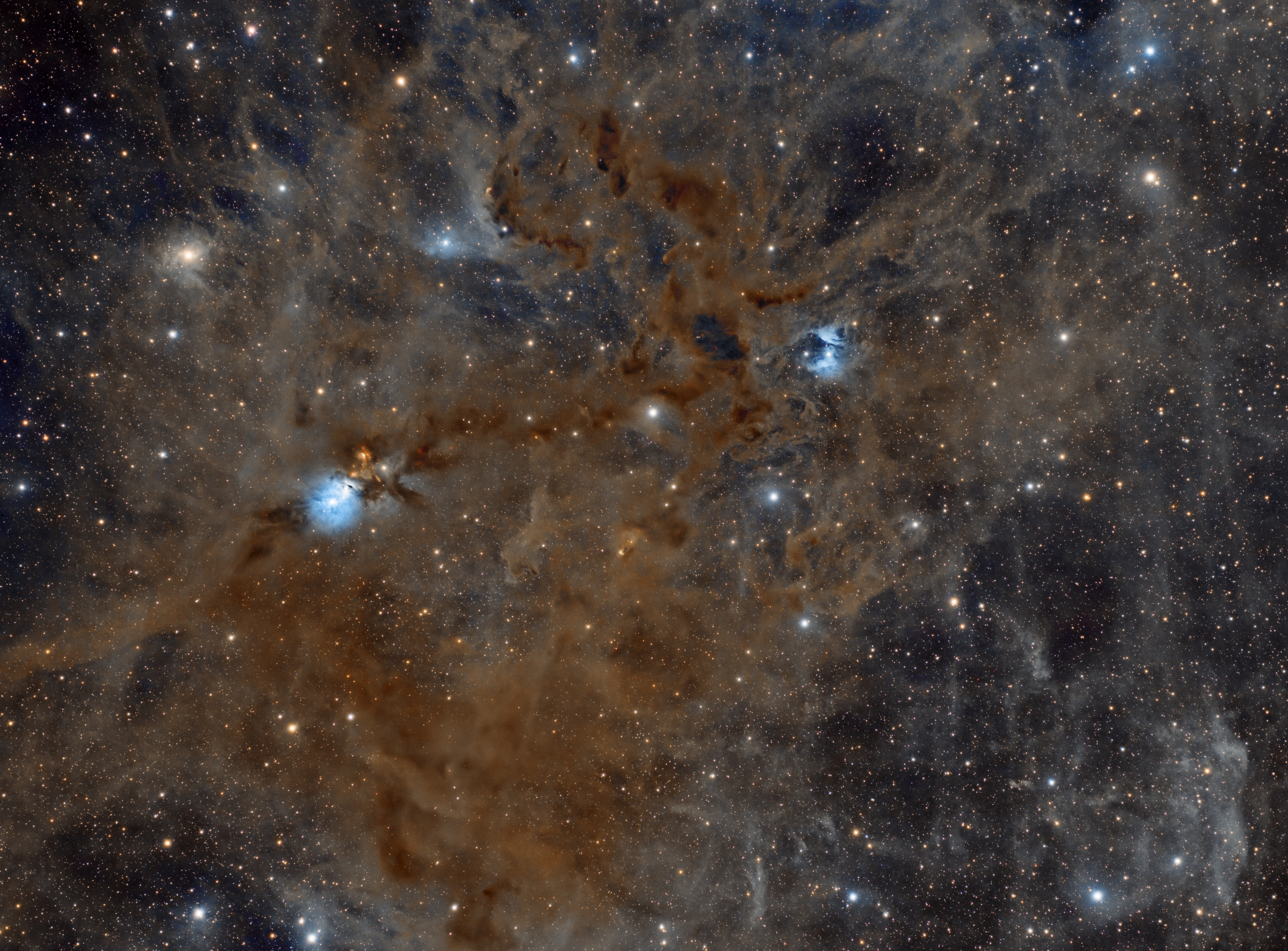 NGC1333, VdB12 ,VdB13, VdB16