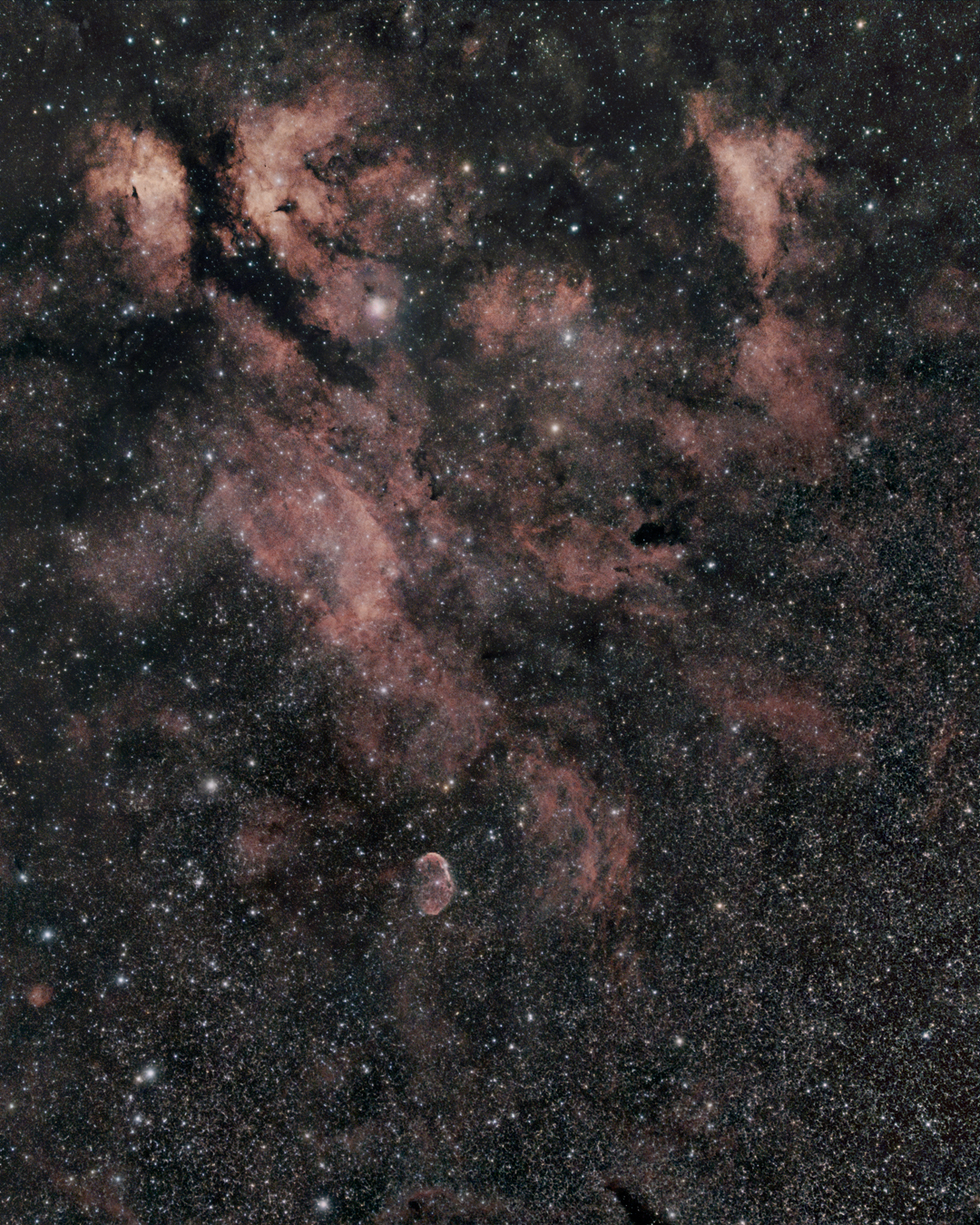 Sadr Region With Crescent Nebula