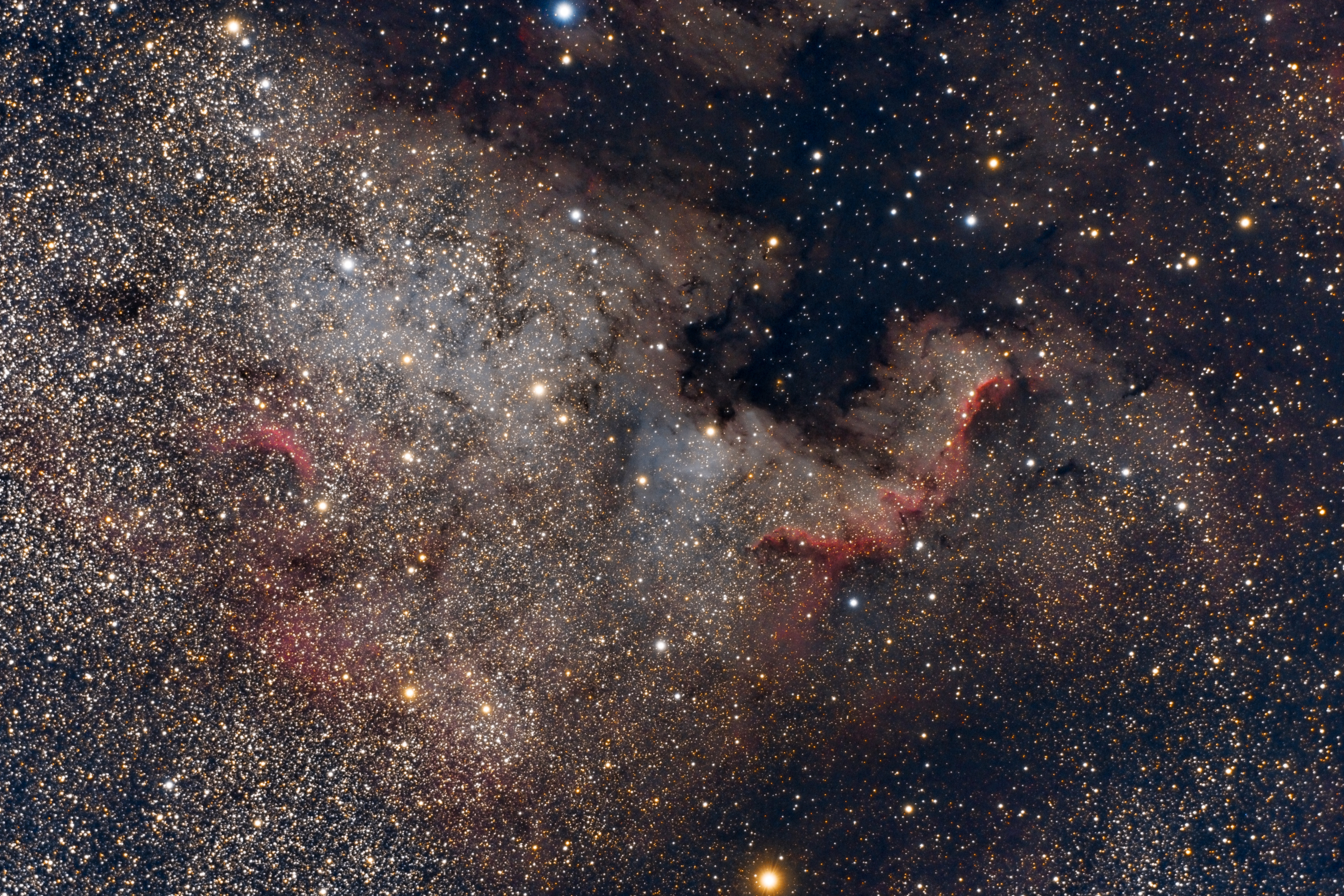 NGC 7000