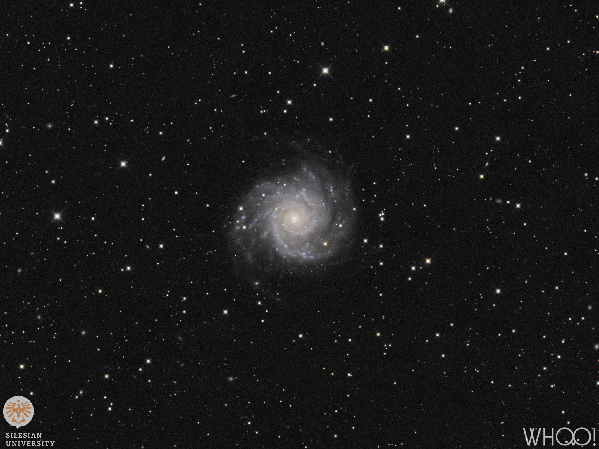 M74 (Phantom Galaxy)
