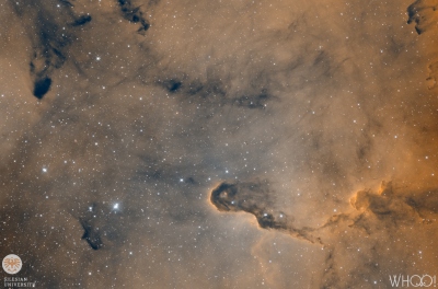 IC1396 (Elephant's Trunk nebula)