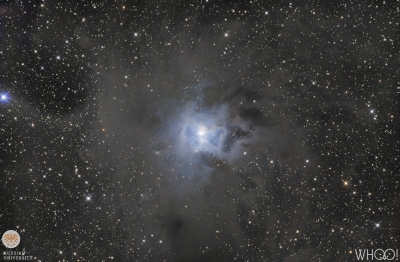 NGC7023 (Kosatec)