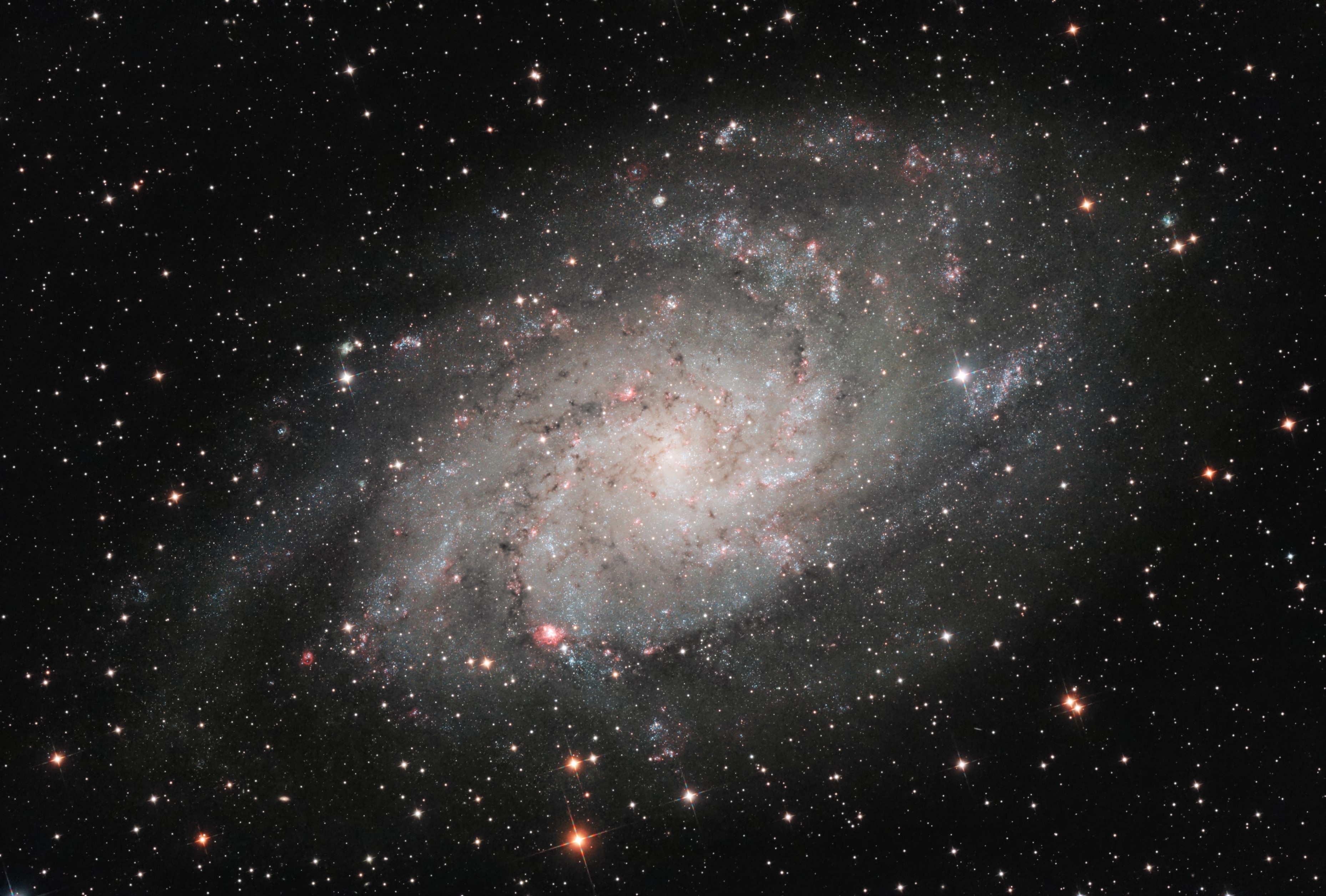 M33