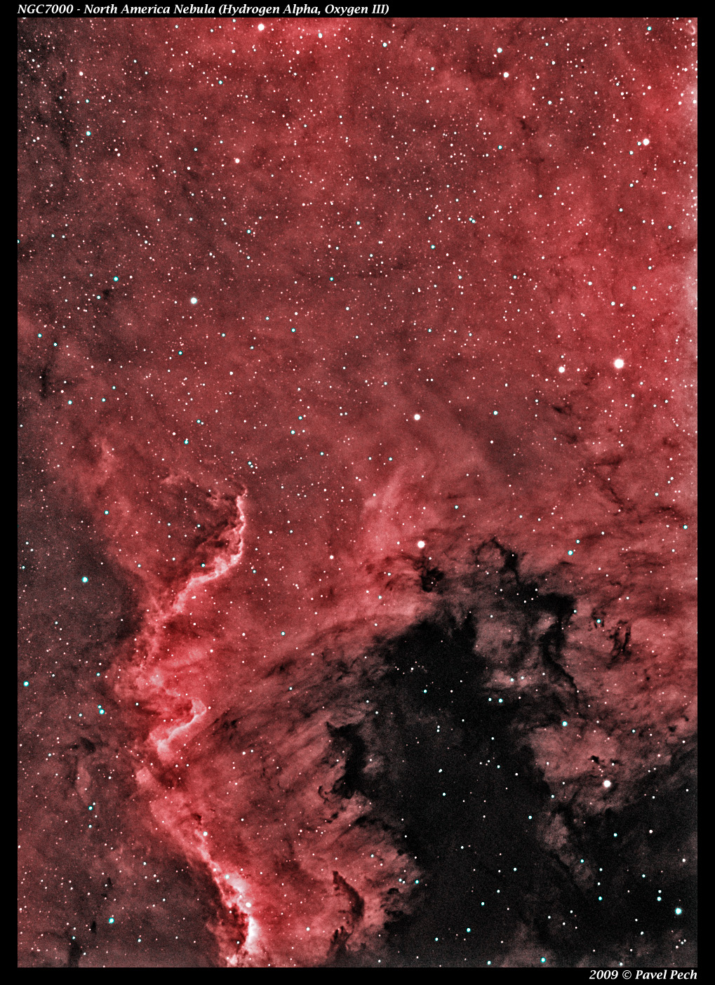 NGC7000 North America Nebula