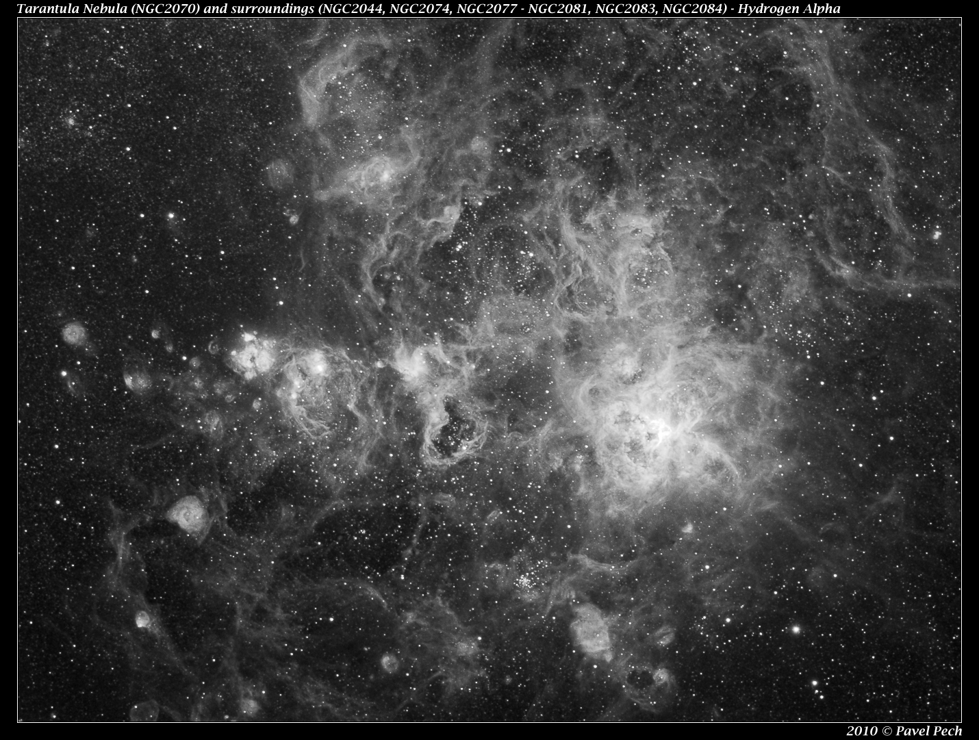 Tarantule (NGC2070) a okoli - NGC2044, NGC2074, NGC2077-NGC2081