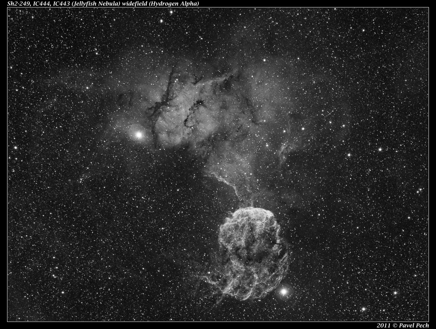 Sh2-249, IC444, IC443 (Jellyfish Nebula) widefield