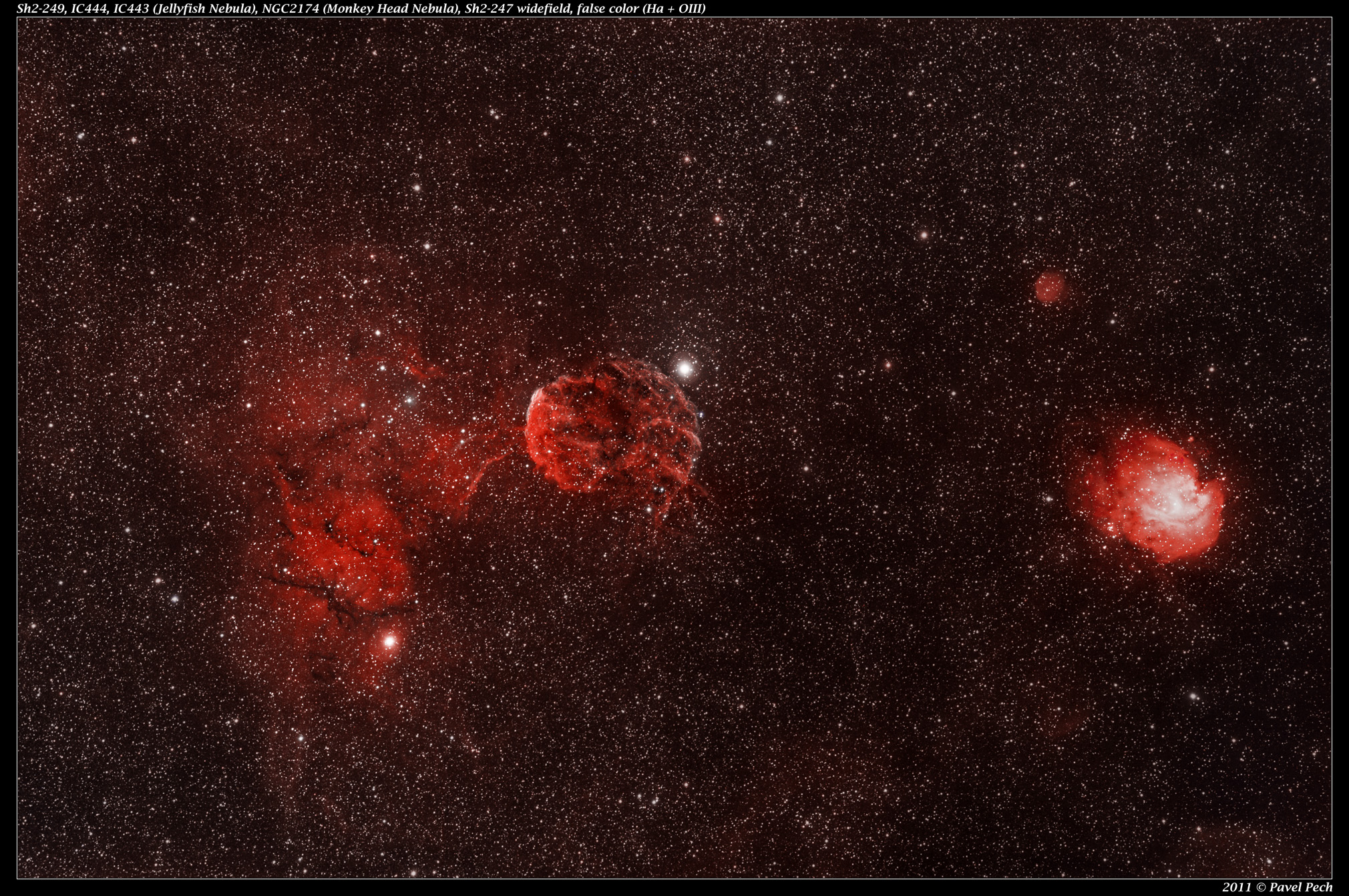 Sh2-249, IC444, IC443, Jellyfish, NGC2174, Monkey Head, Sh2-247