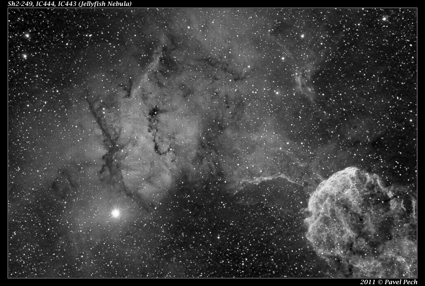 Sh2-249, IC444, IC443 (Jellyfish Nebula)