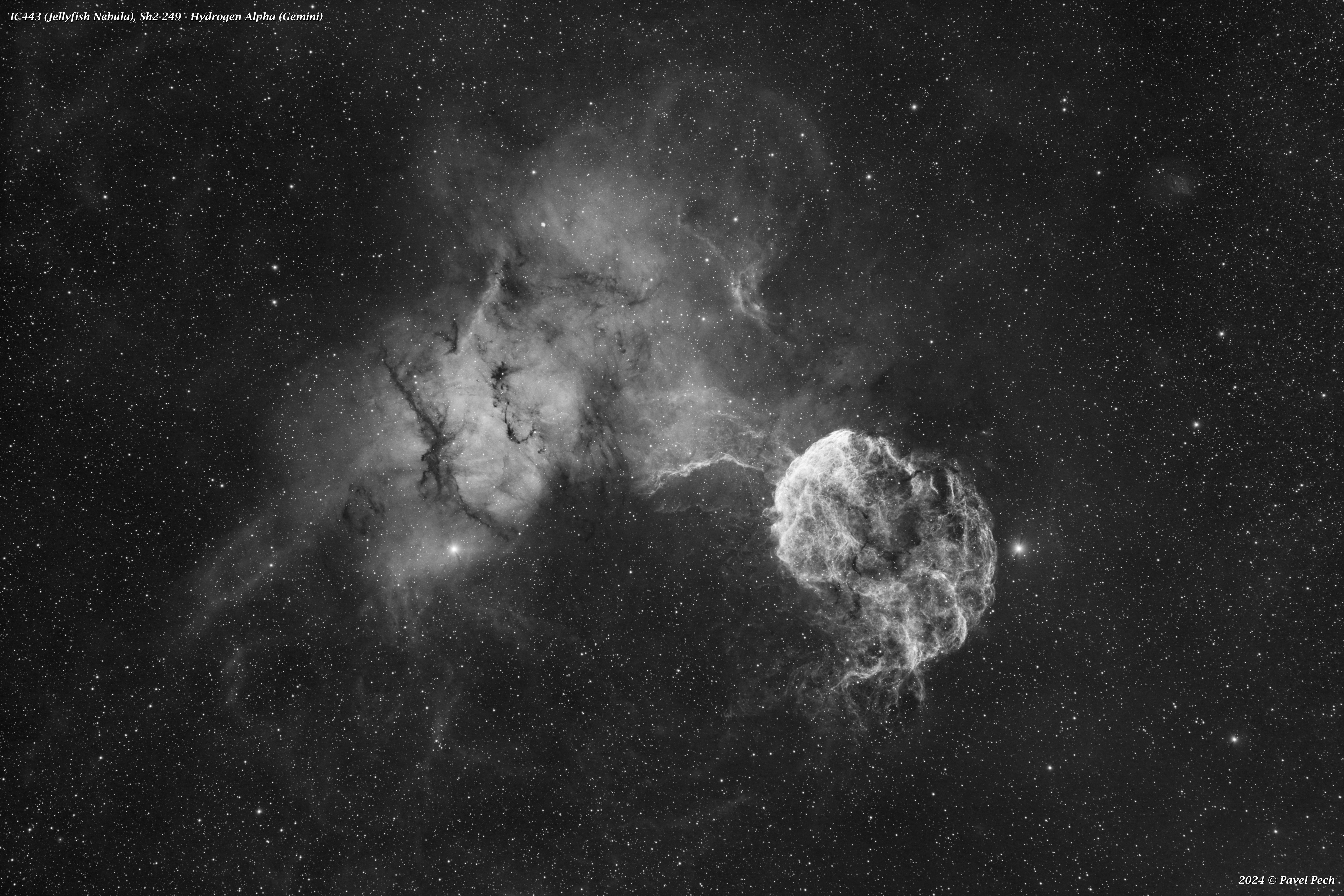 IC443 (Jellyfish Nebula), Sh2-249 - Ha