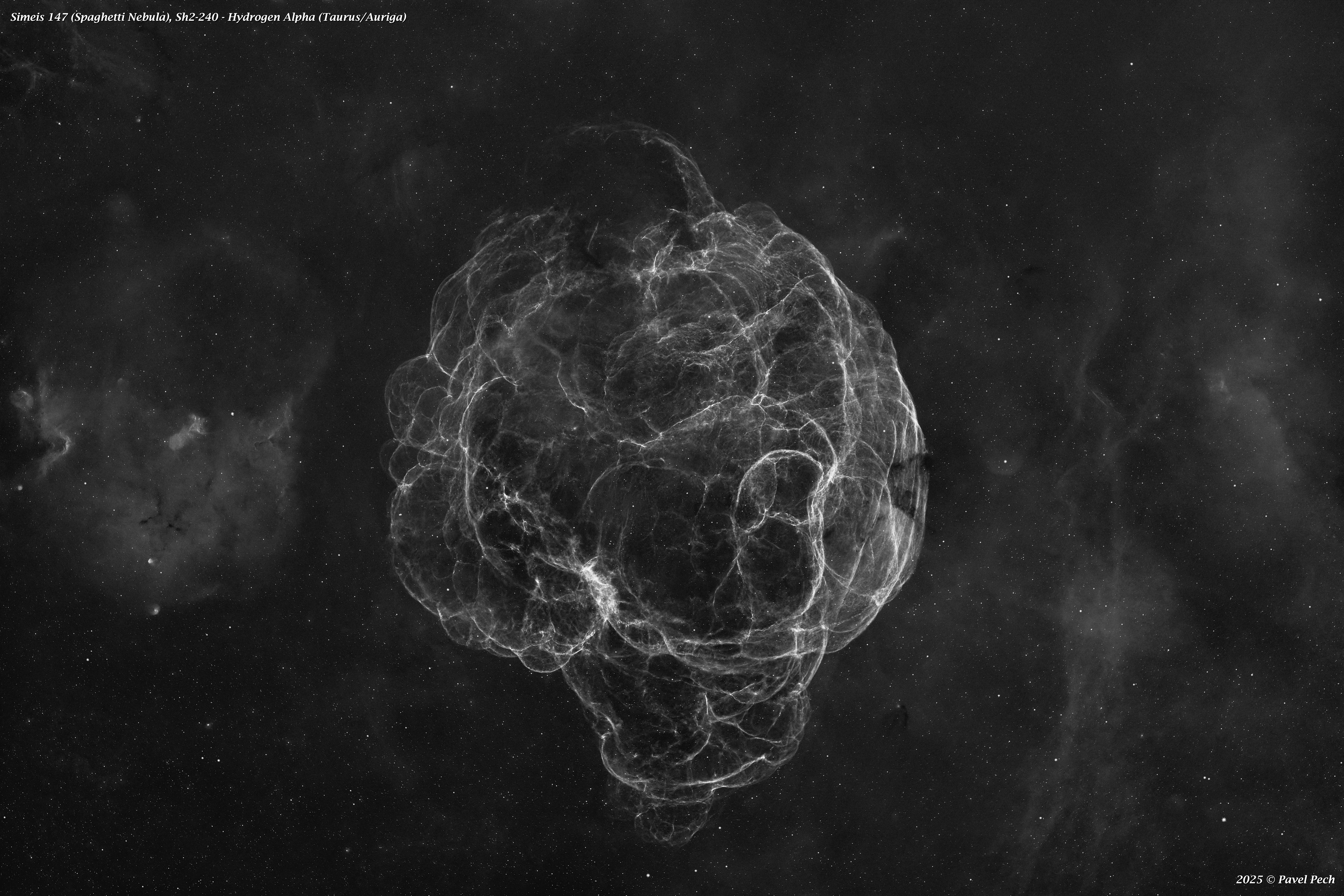 Simeis 147 (Spaghetti Nebula), Sh2-240 - Ha