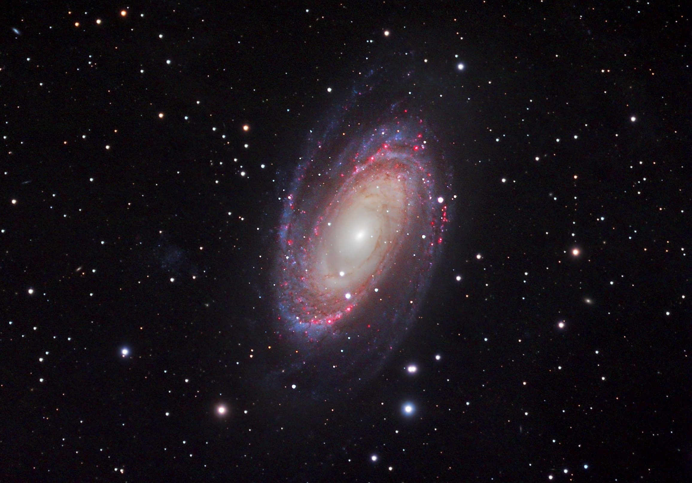 Galaxie M81