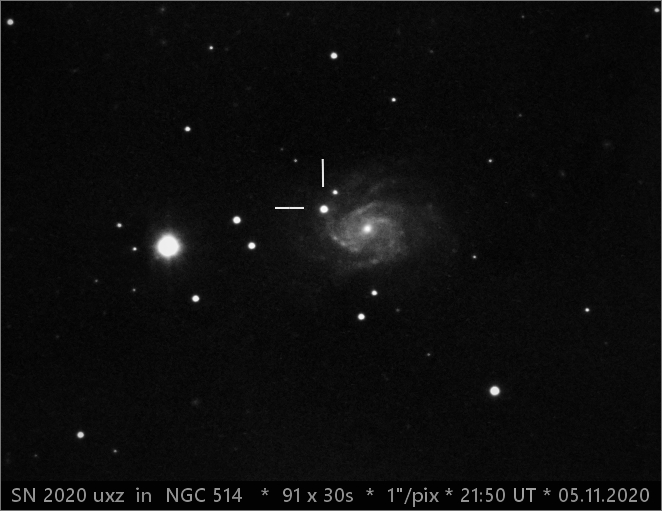 SN 2020 uxz in NGC514