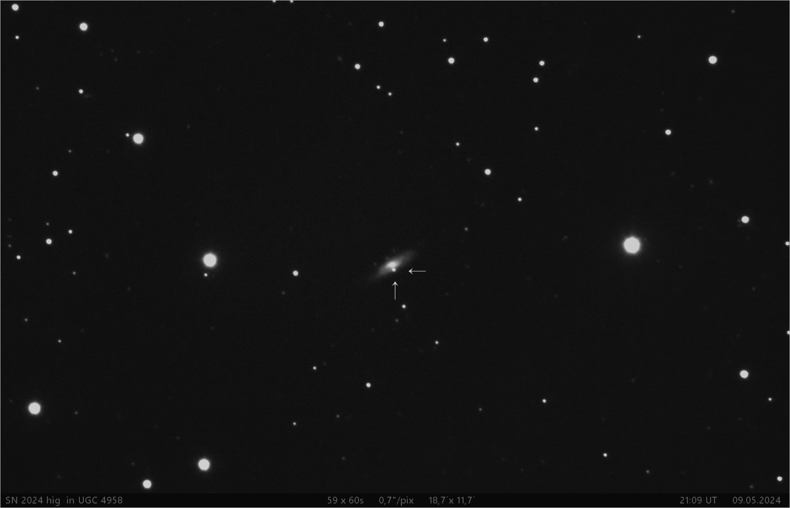 supernova SN 2024 hig v UGC4958