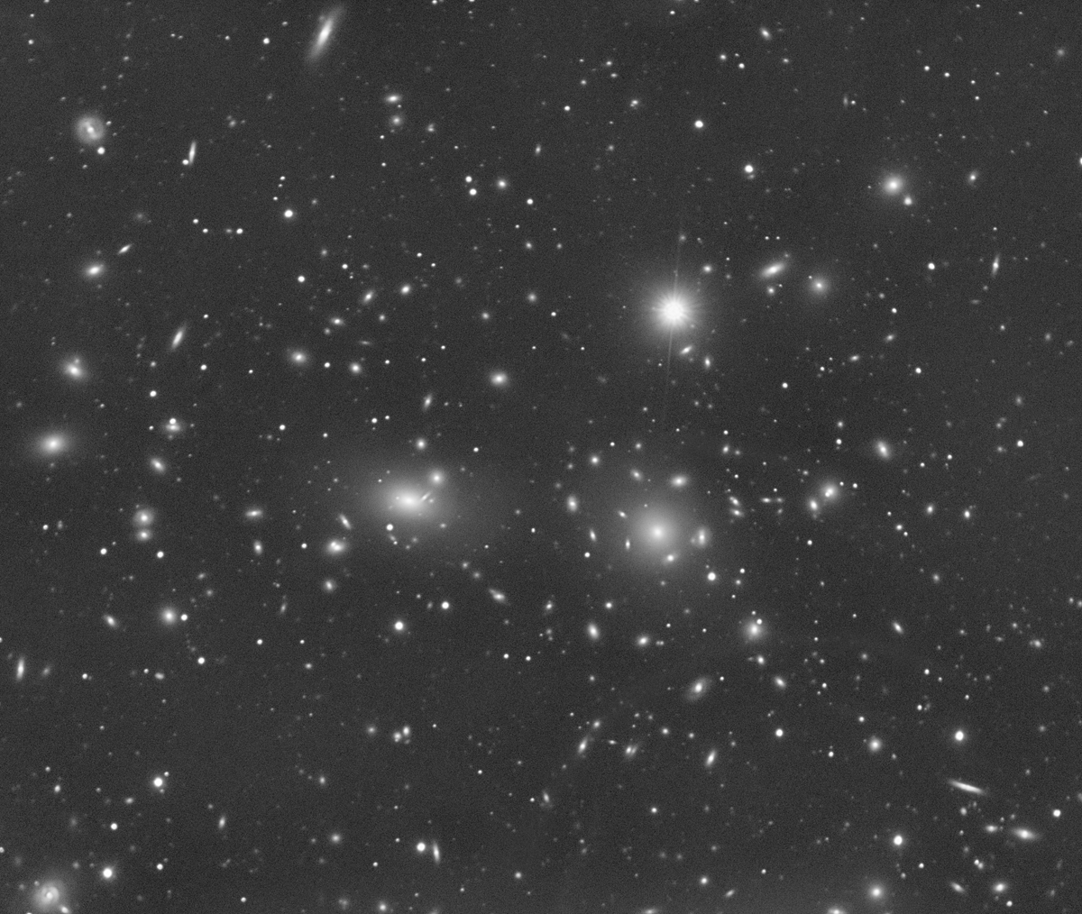 Coma cluster Abell1656