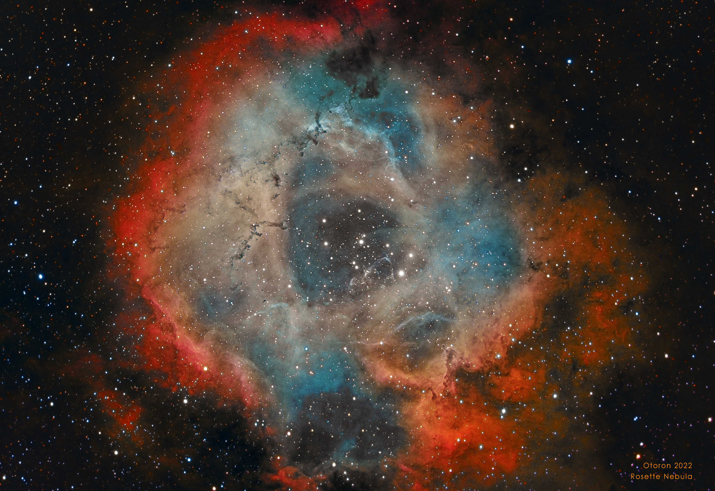 Rosette Nebula