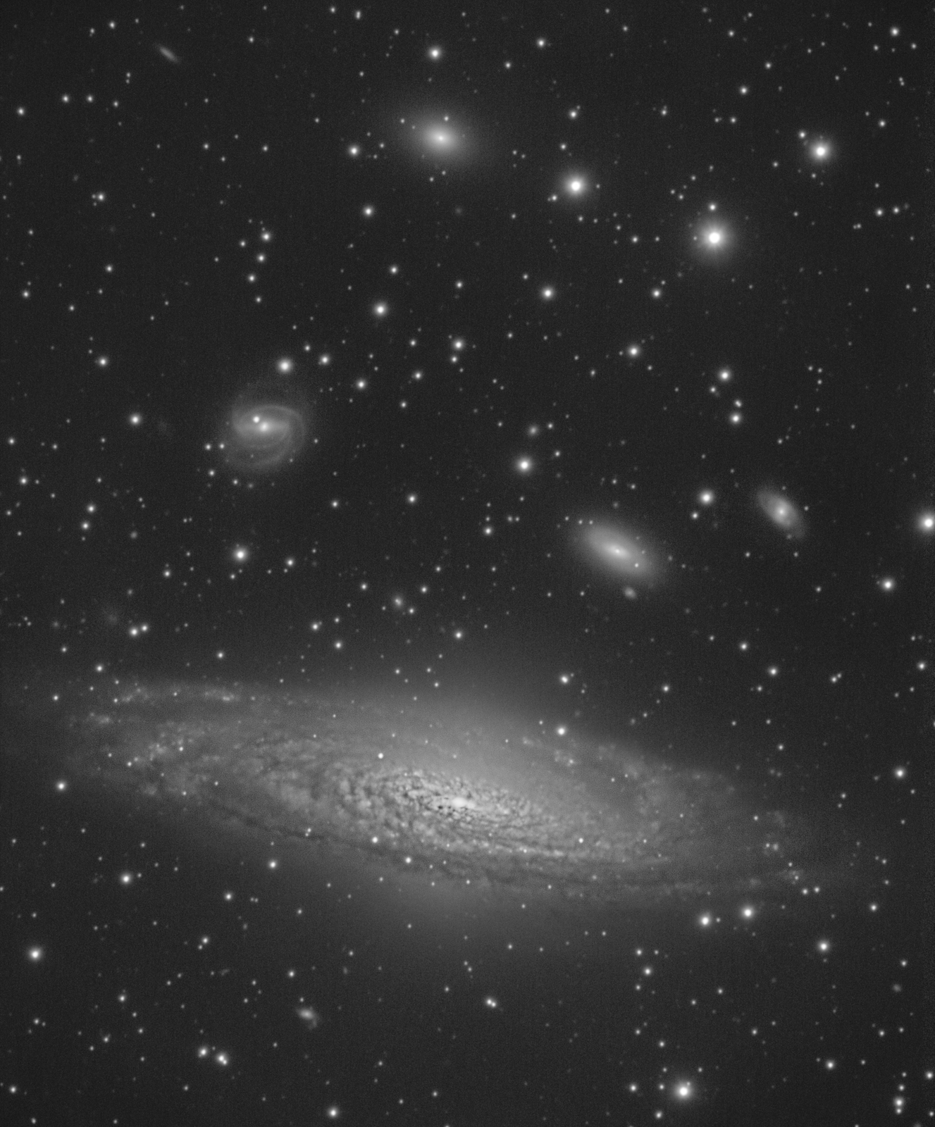 NGC7331