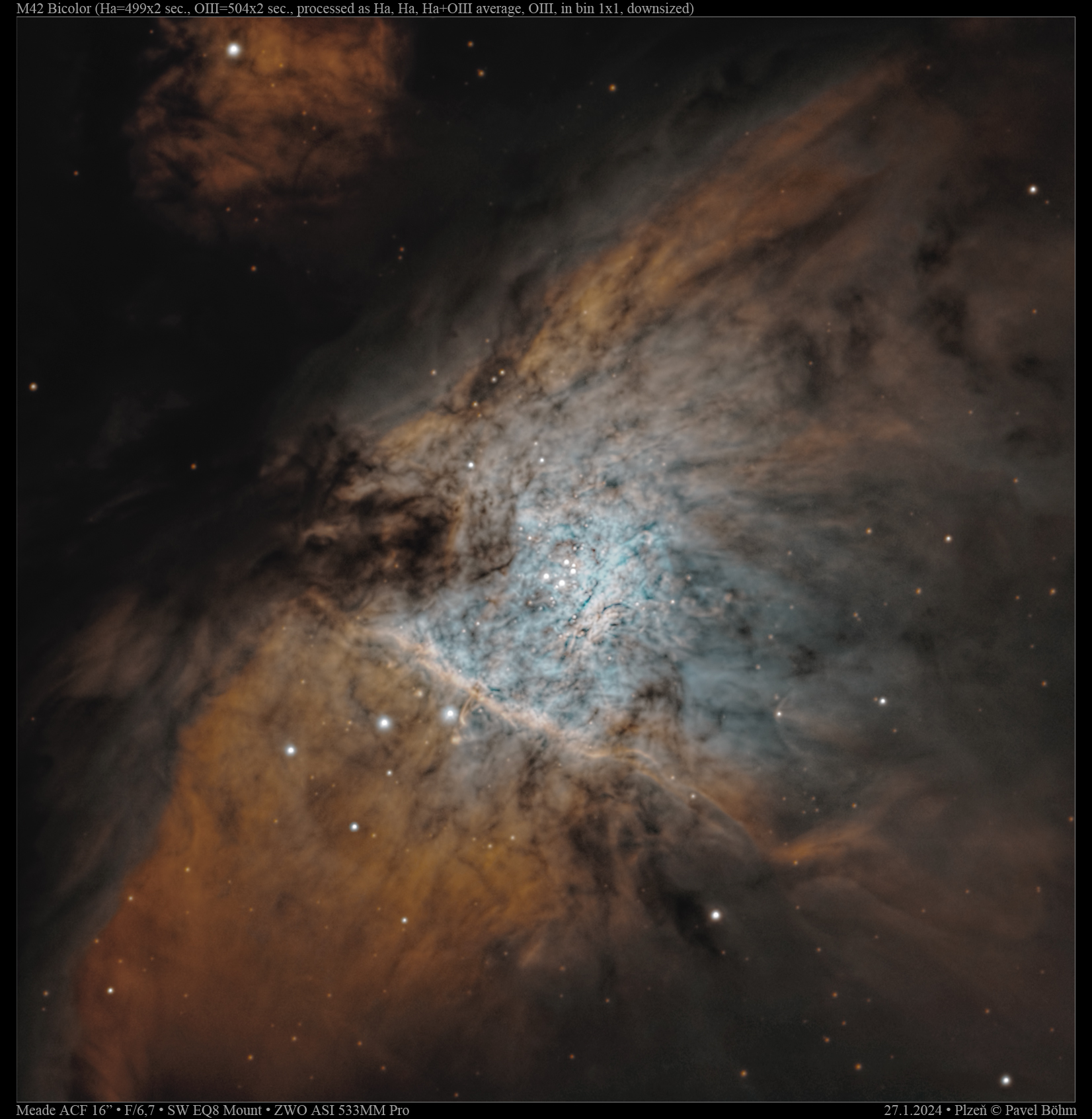 M42 Bicolor