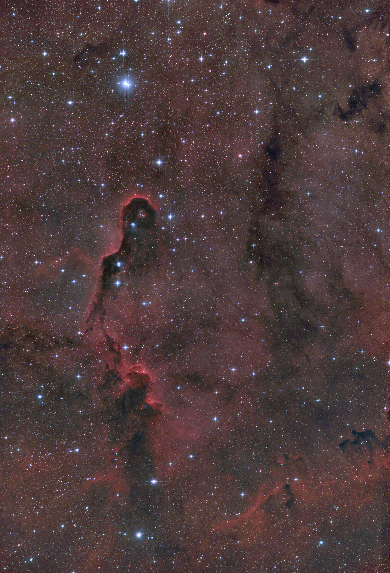 IC 1396 - Sh2-131