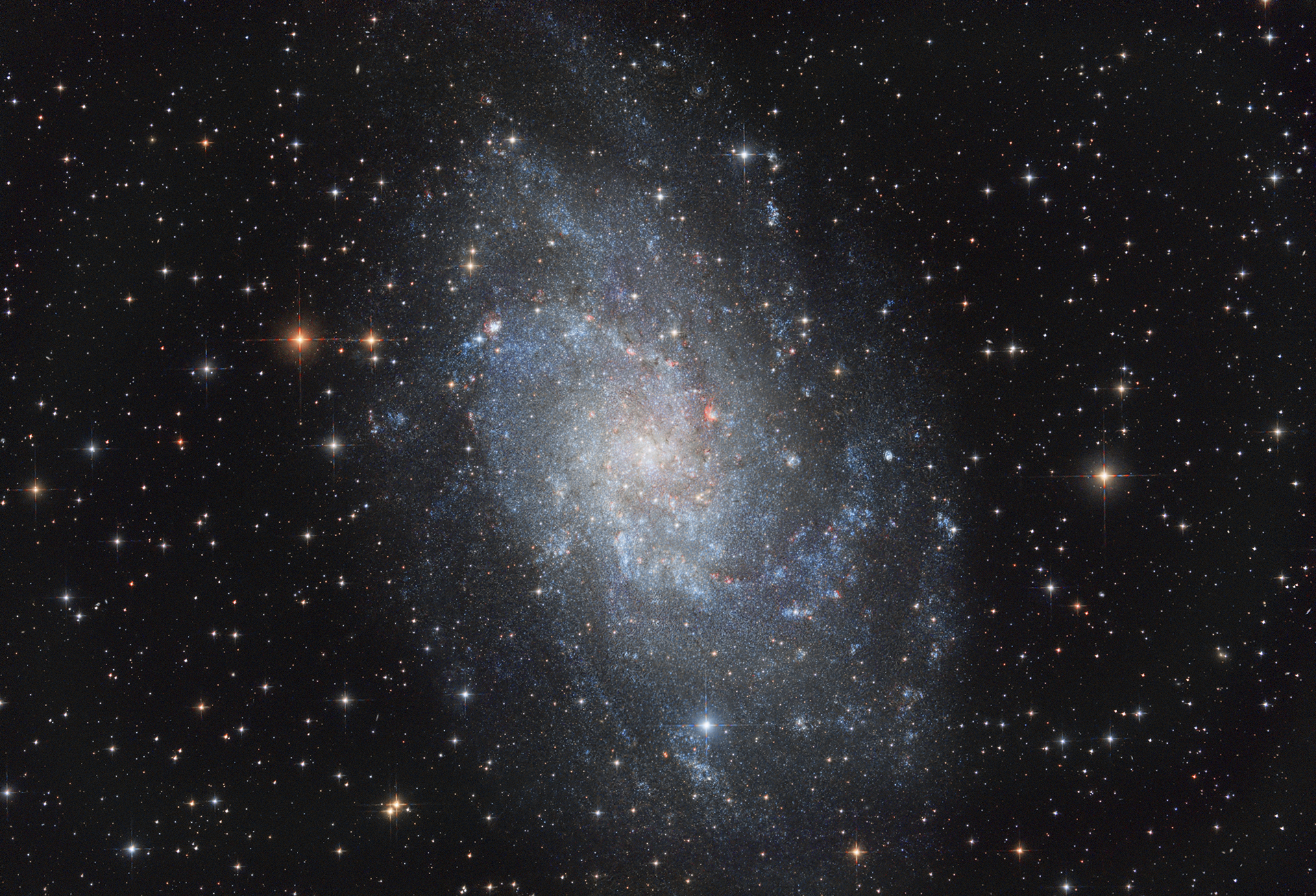M33