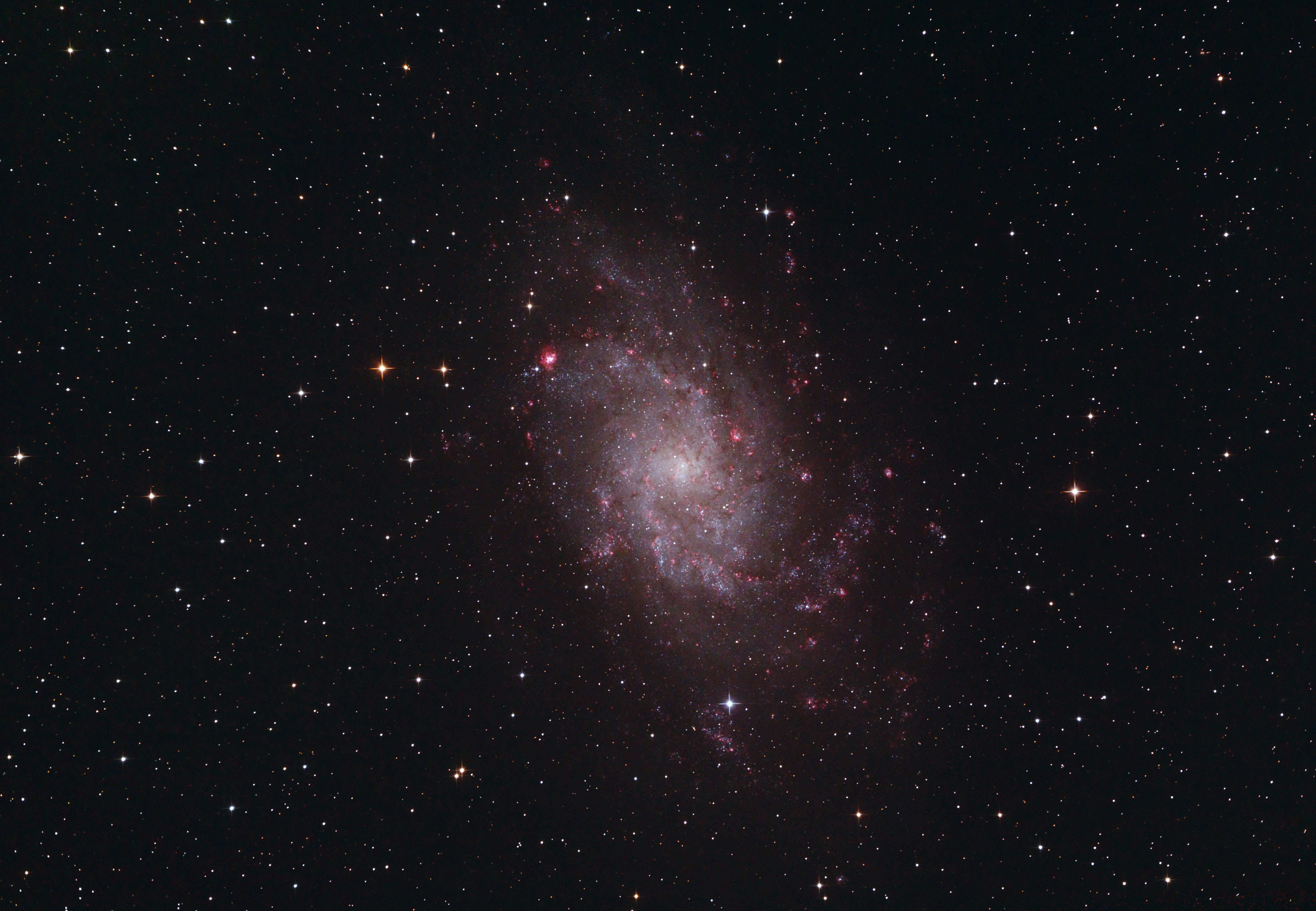 M33
