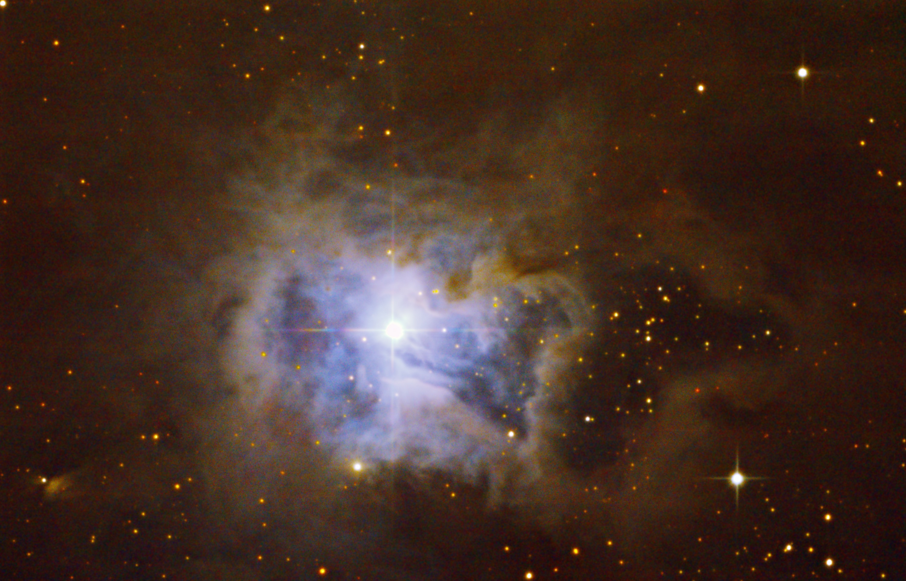 NGC7023 NGC 7023 Iris Kosatec