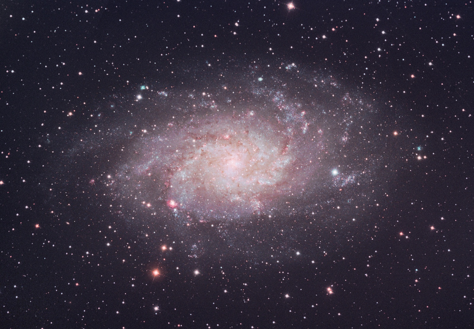 M33