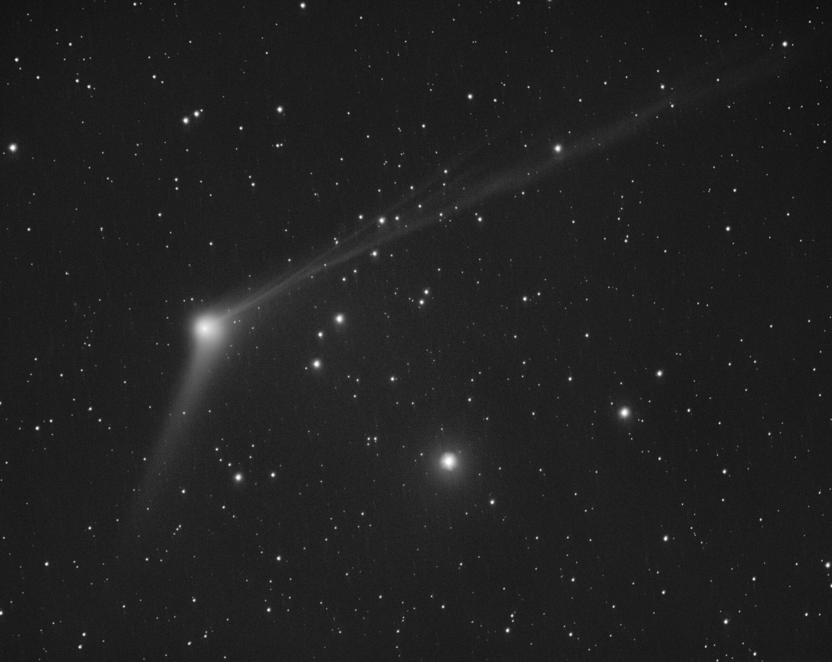 C/2013 US10 (Catalina) 