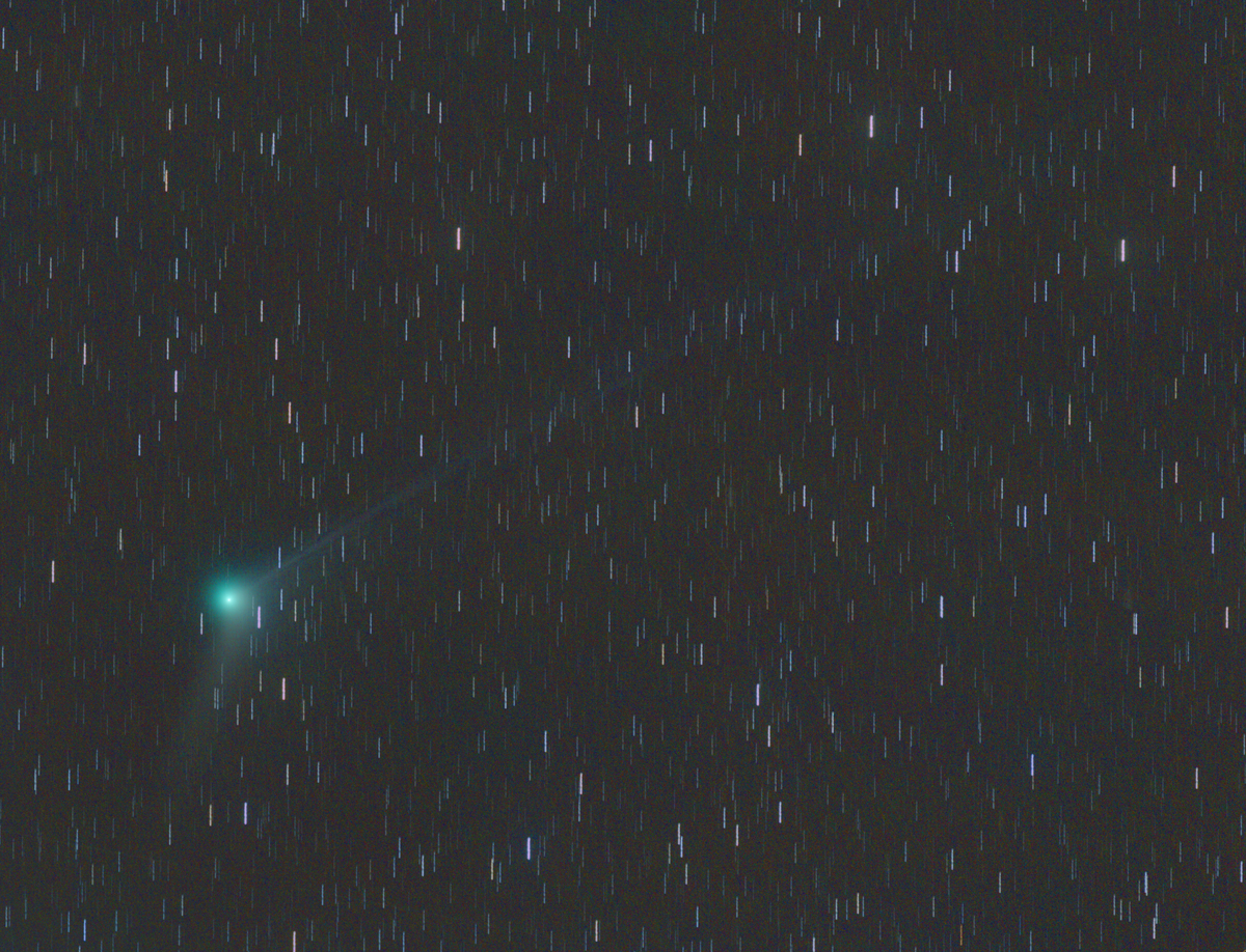 C/2013 US10 (Catalina) 