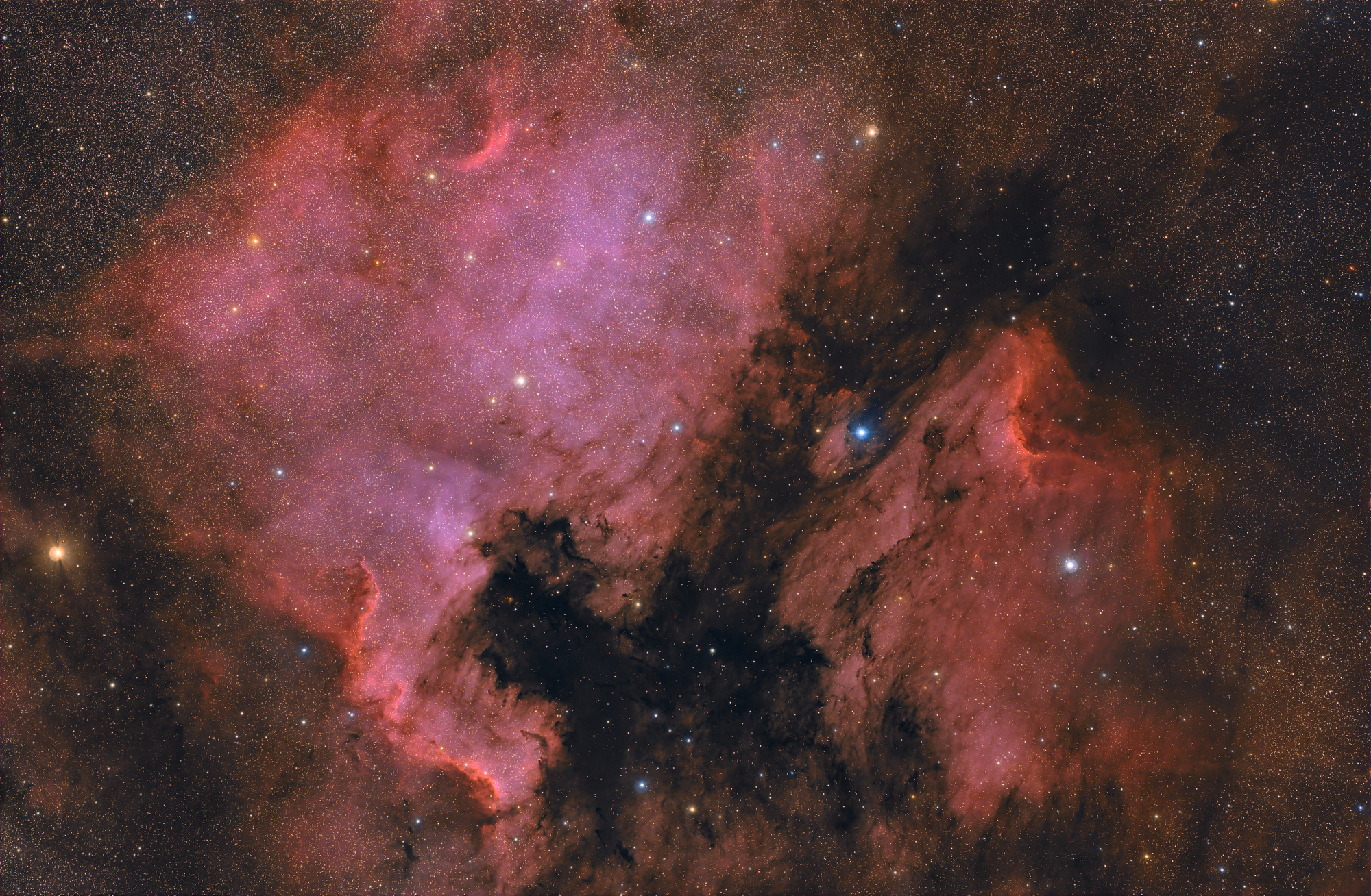 America & Pelican NGC7000