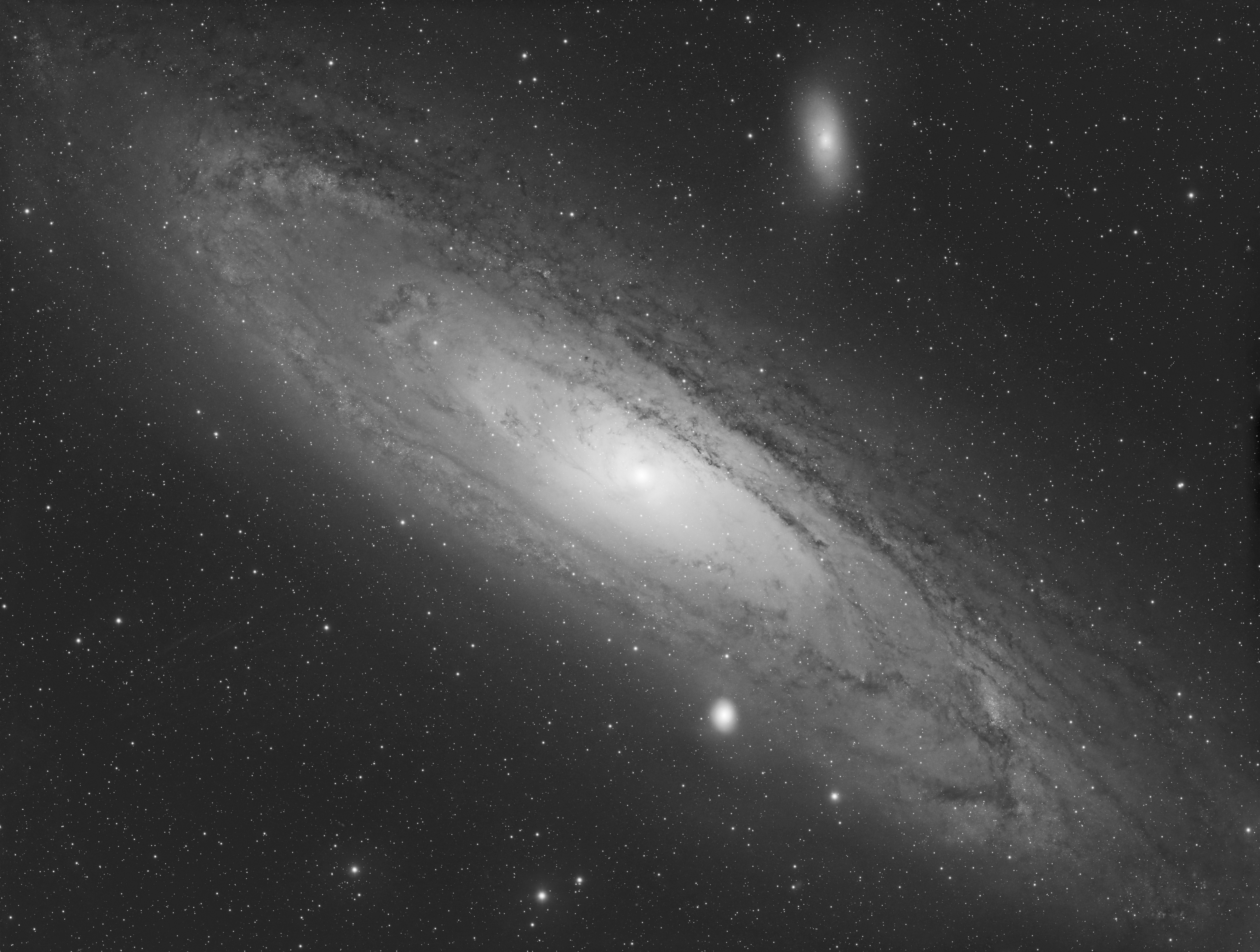 M31