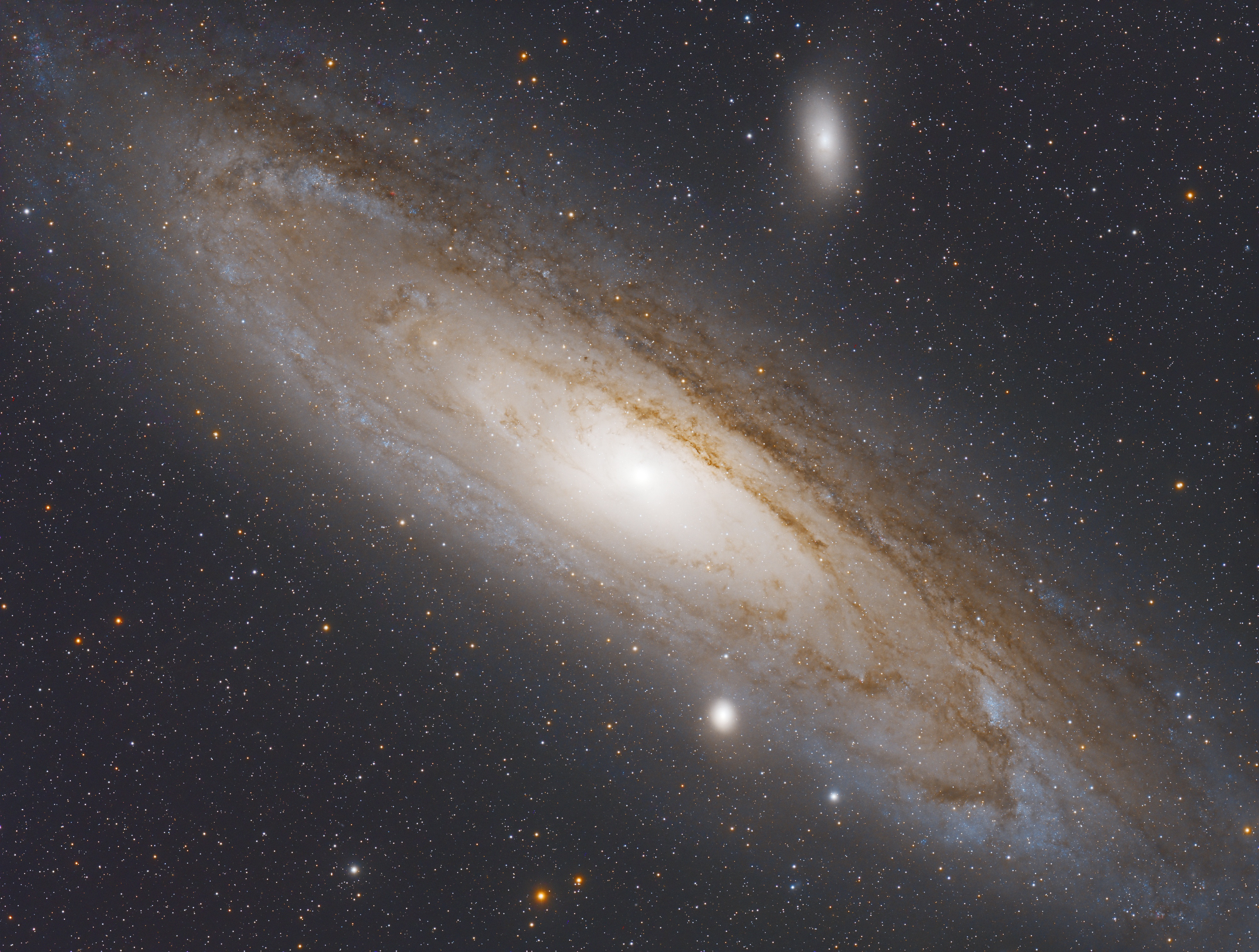 M31
