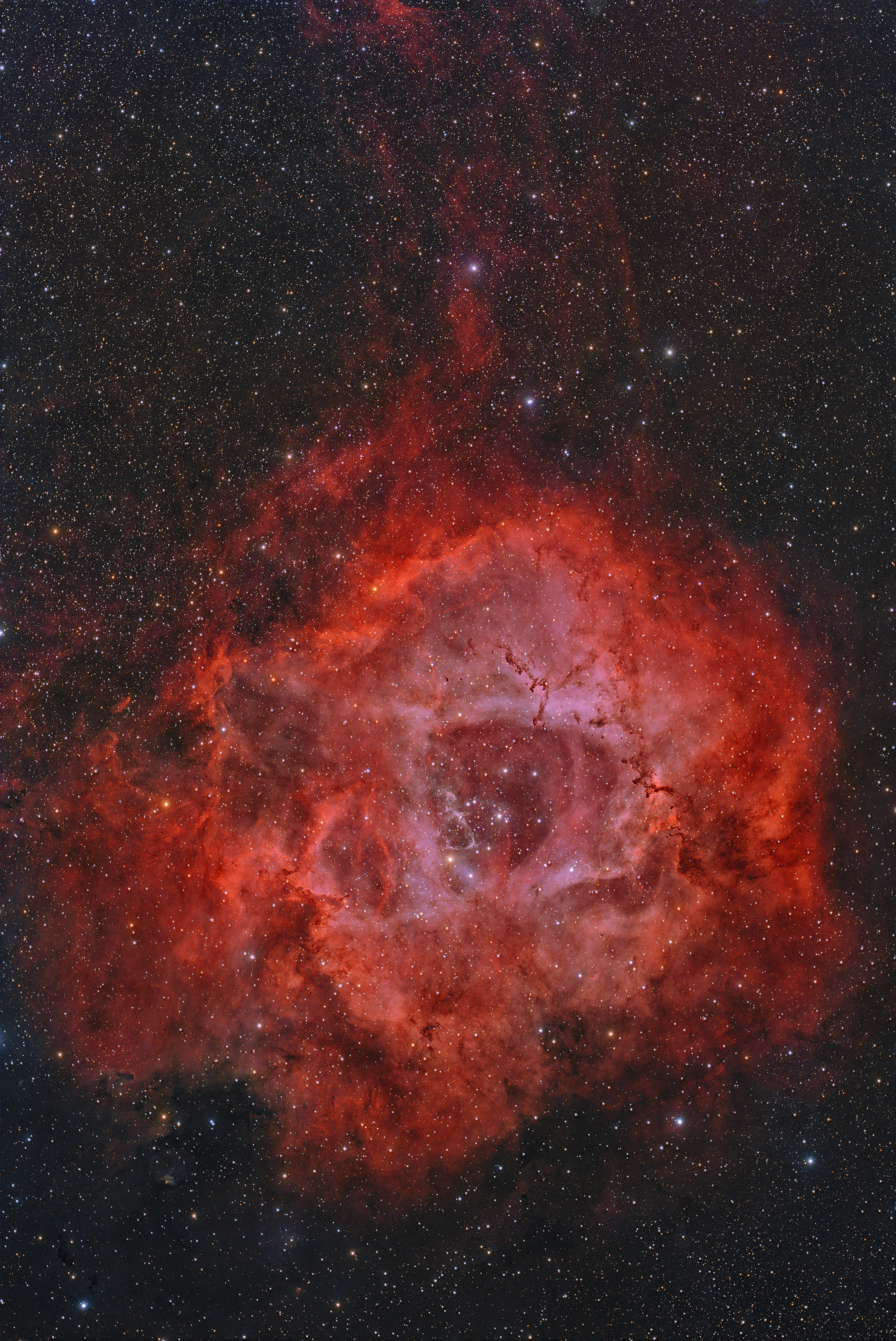 NGC2244 Roseta