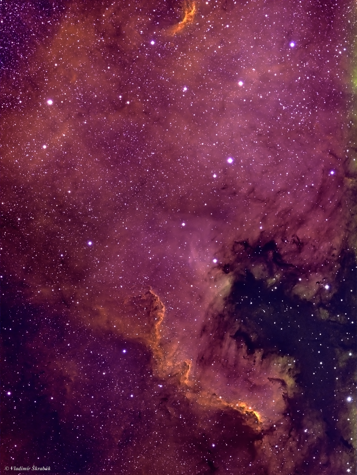 Ngc 7000