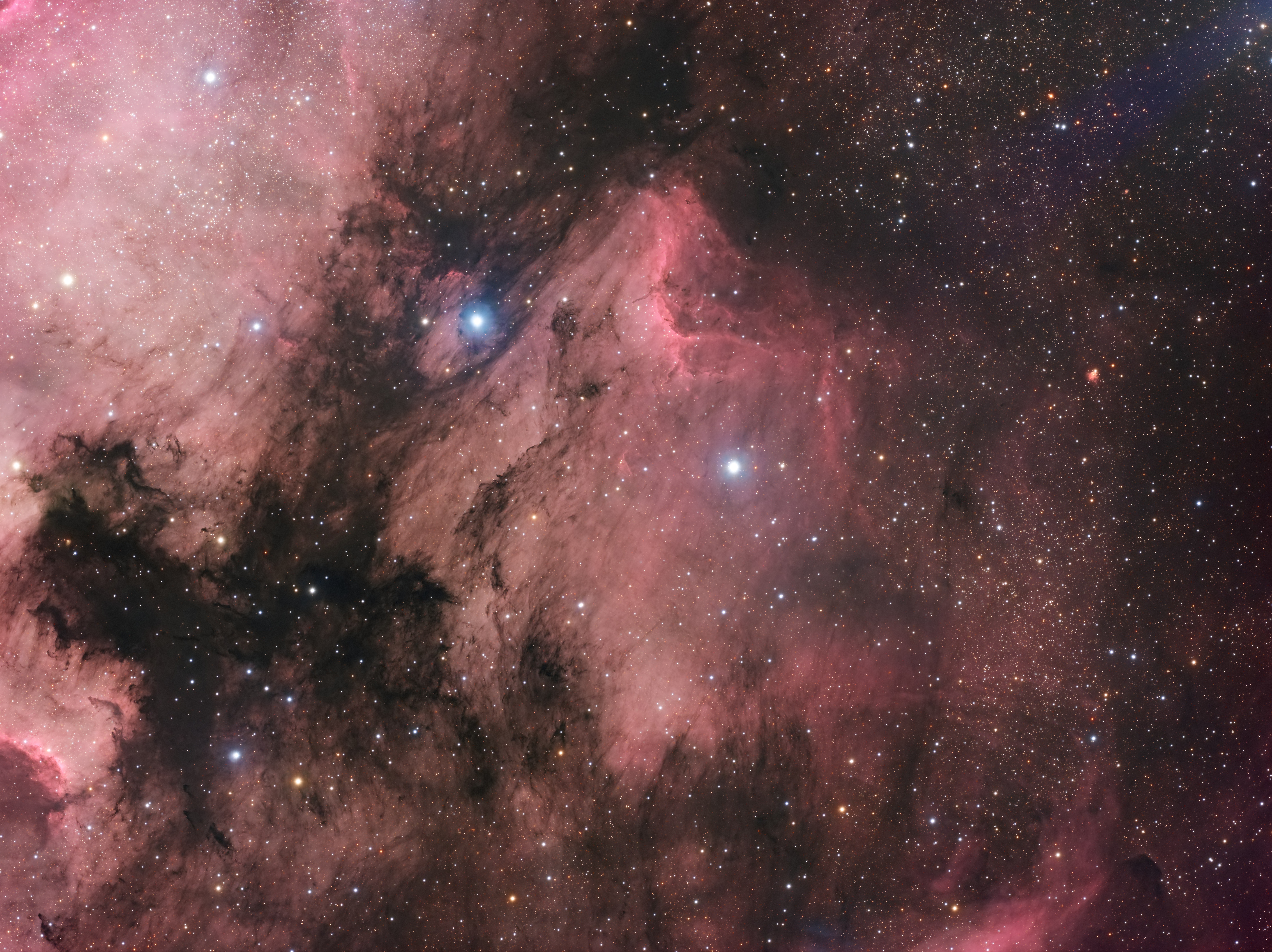 IC5070 Pelikán v HaRGB