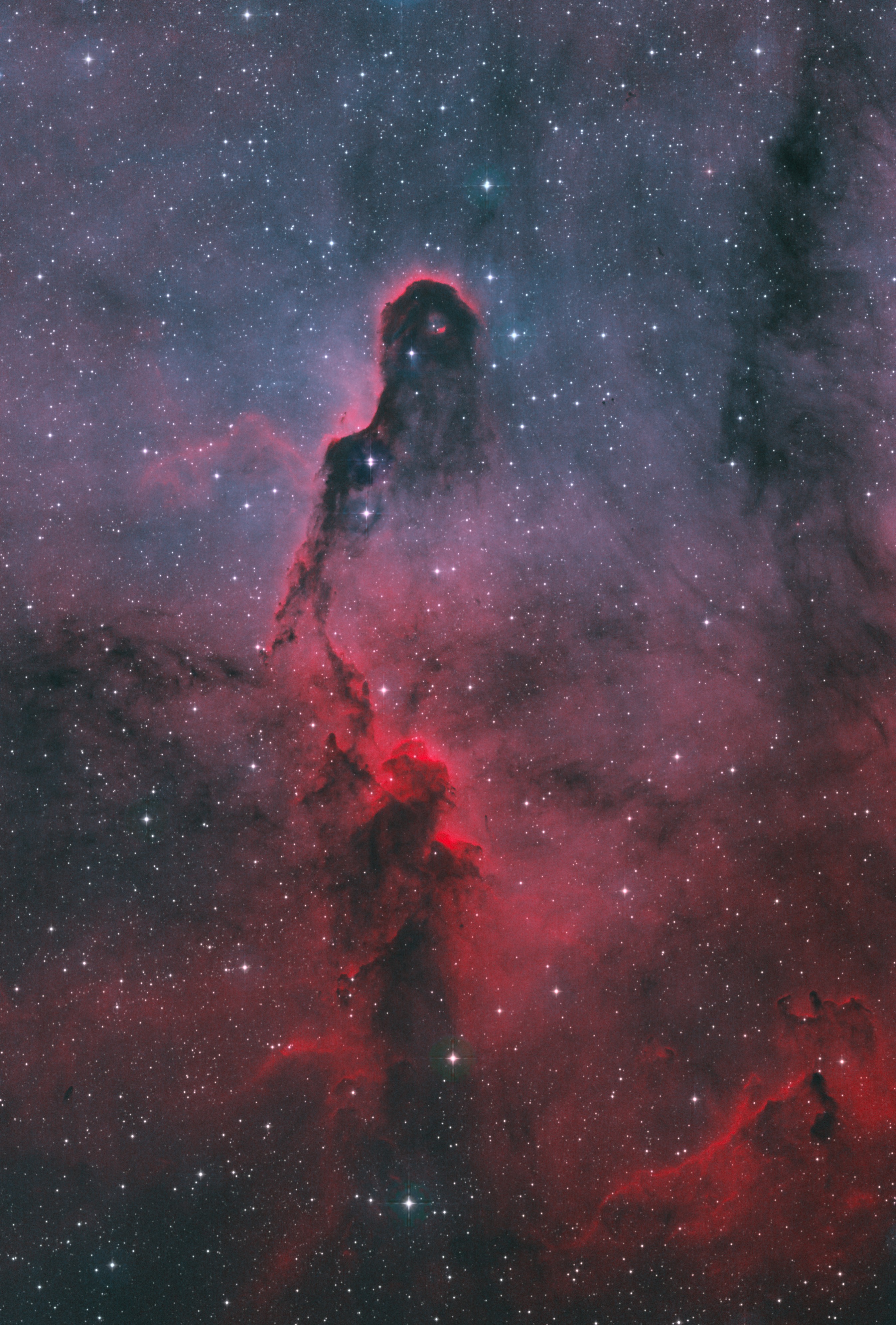 IC1396 Bicolor