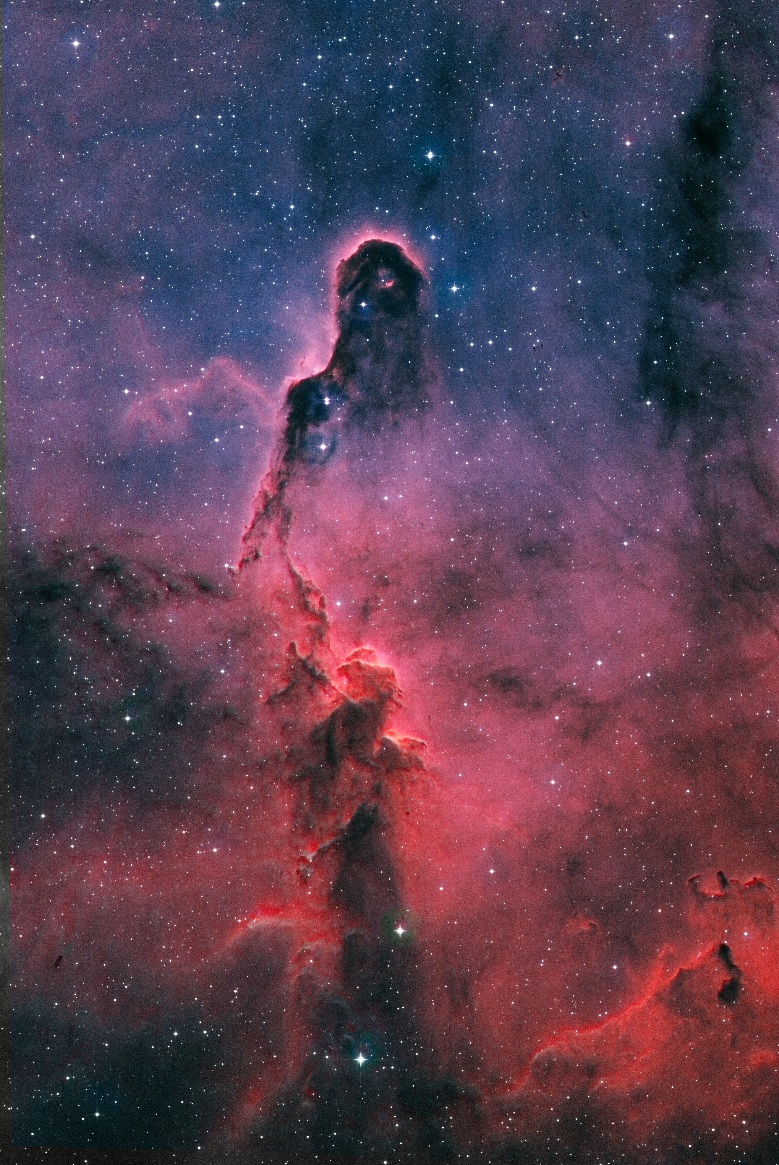 IC1396 Bicolor -2