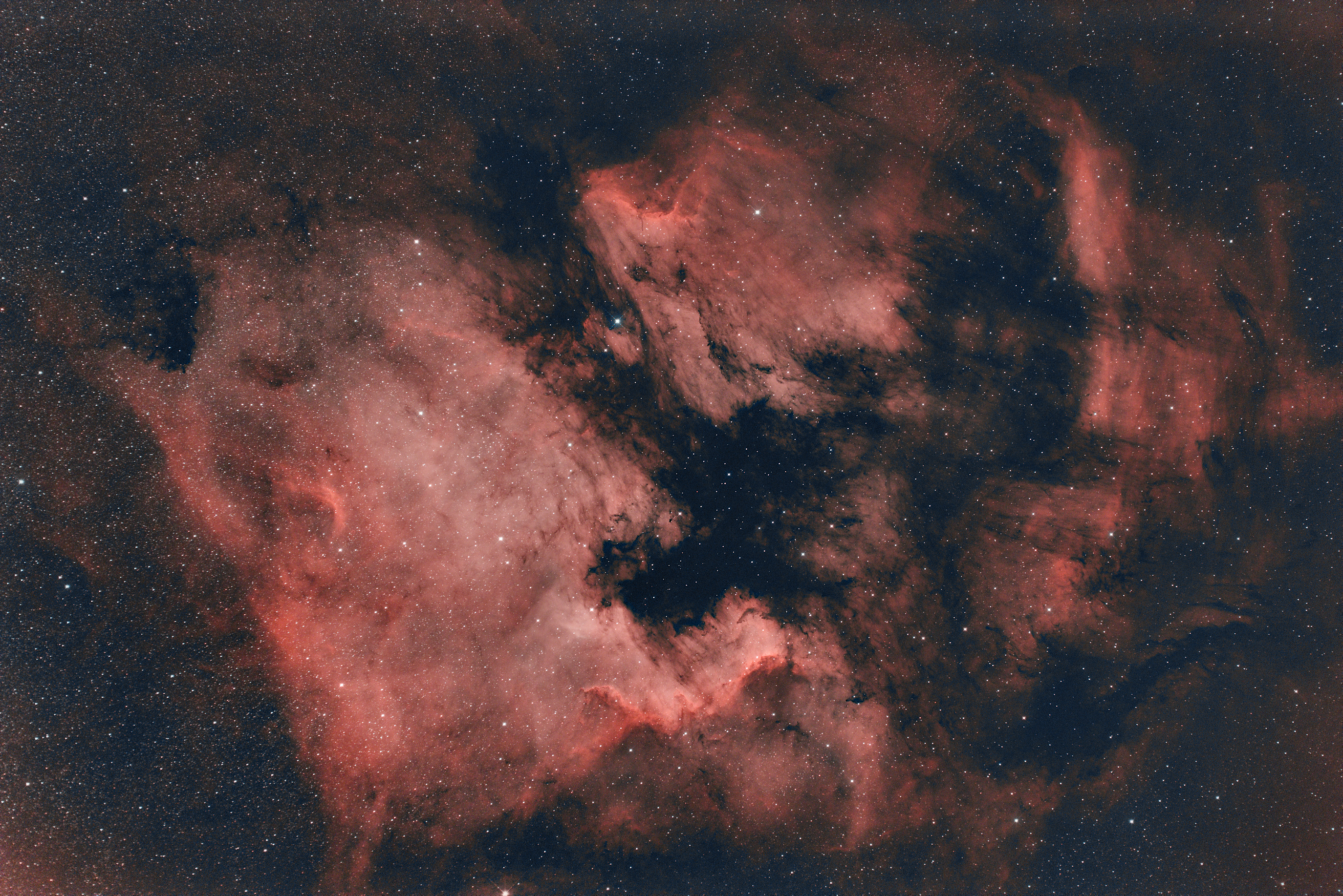 IC5070, NGC7000