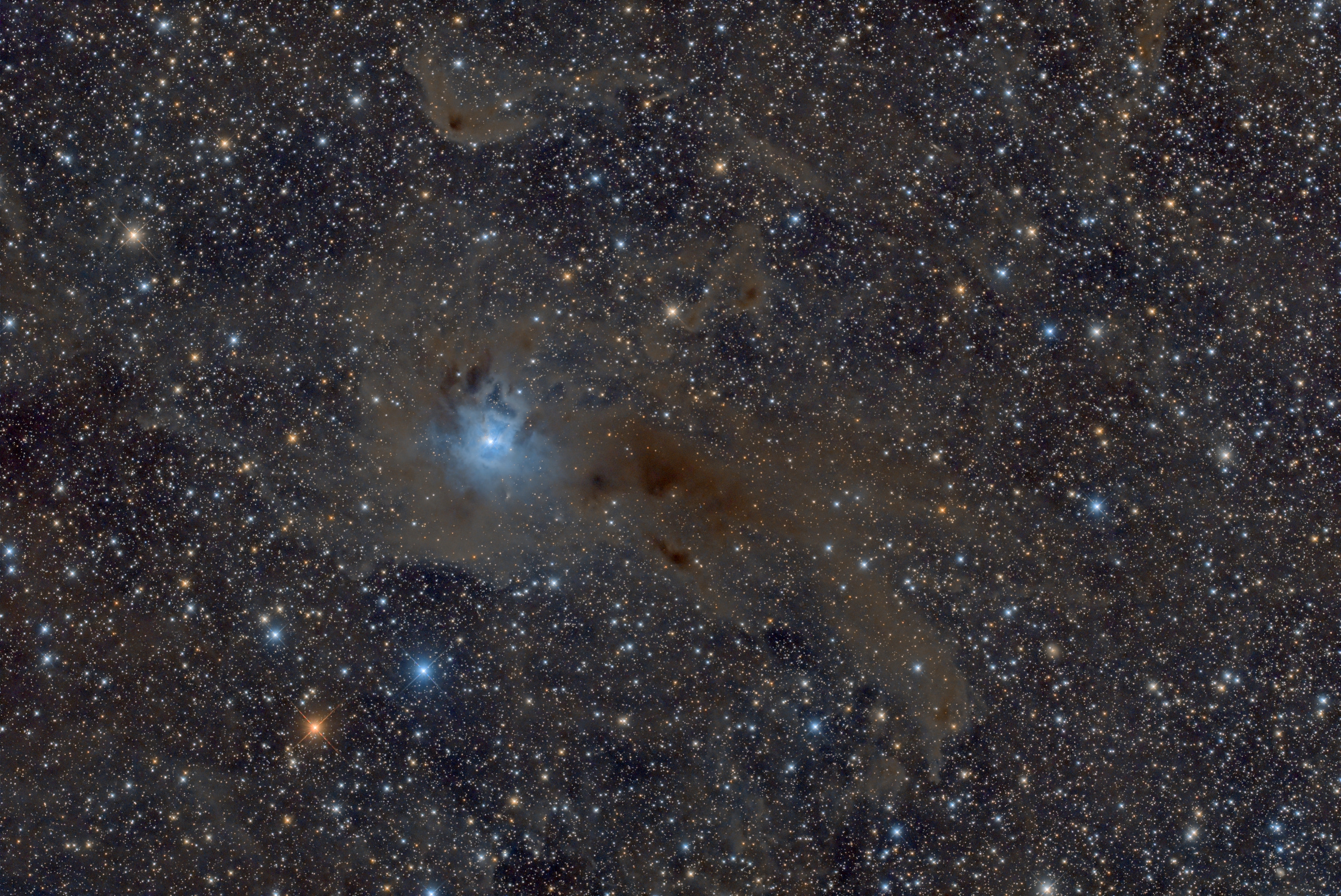 Iris, NGC7023