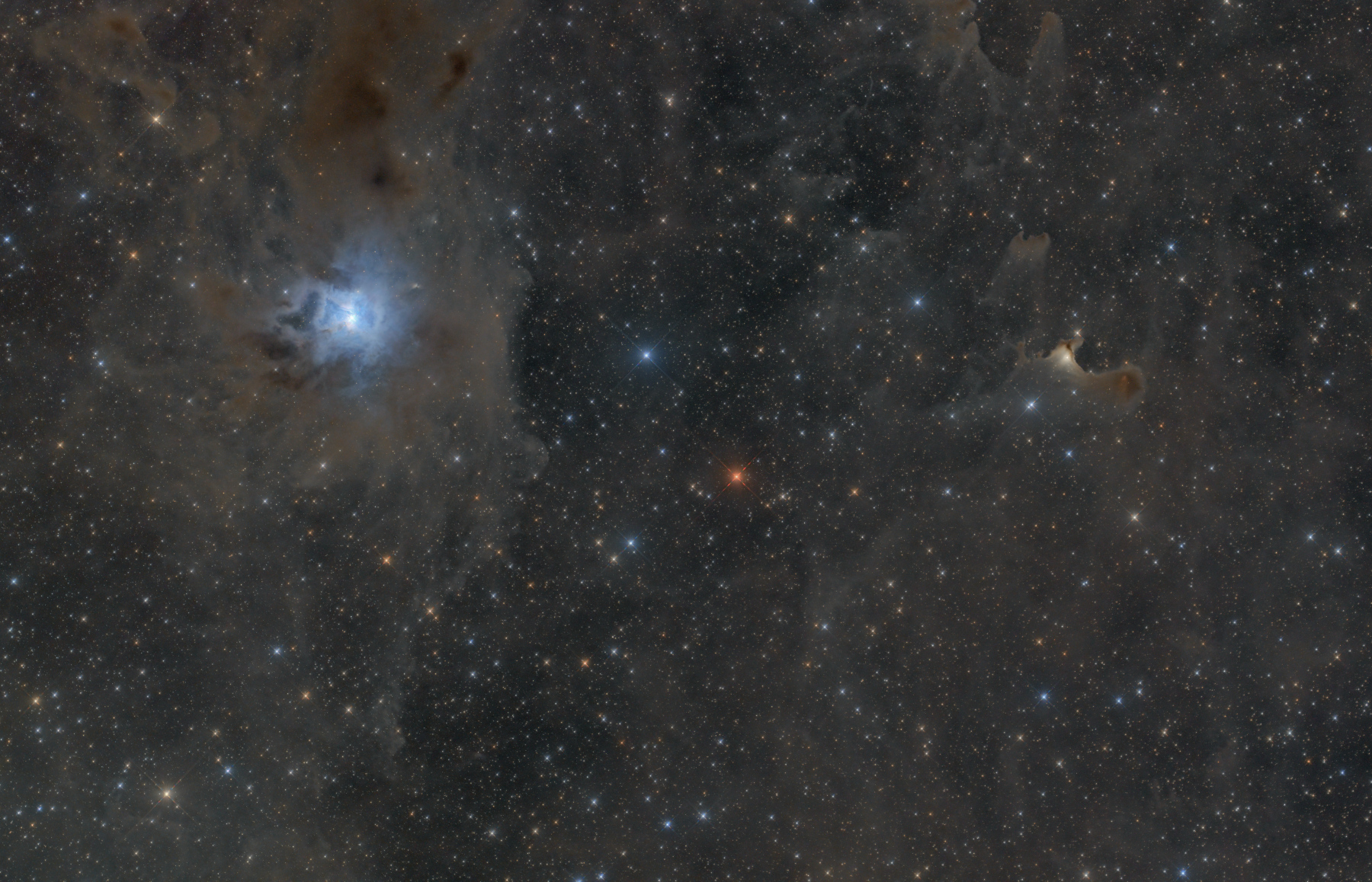 NGC7023, VDB141