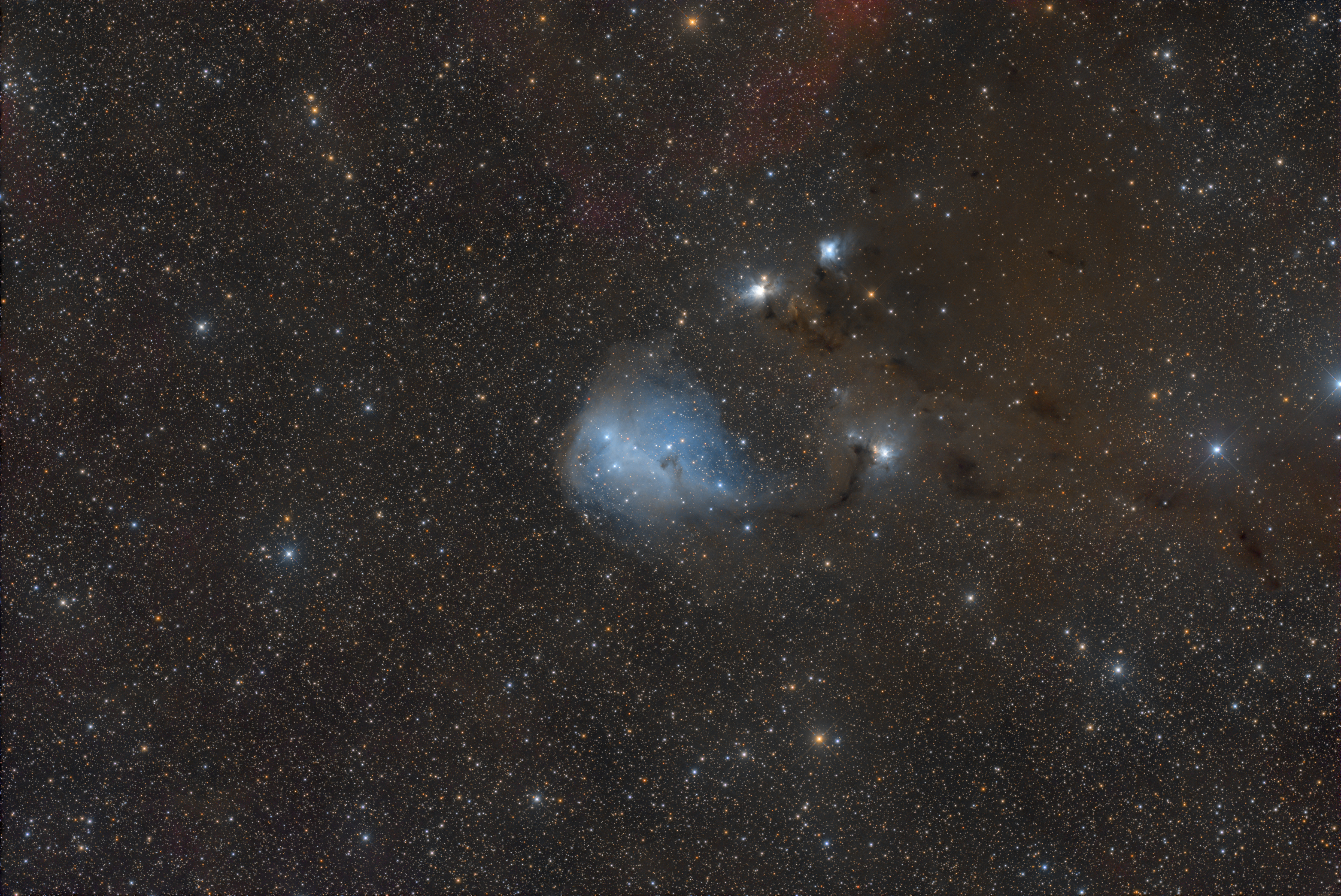 IC2169, IC446, NGC2245, NGC2247