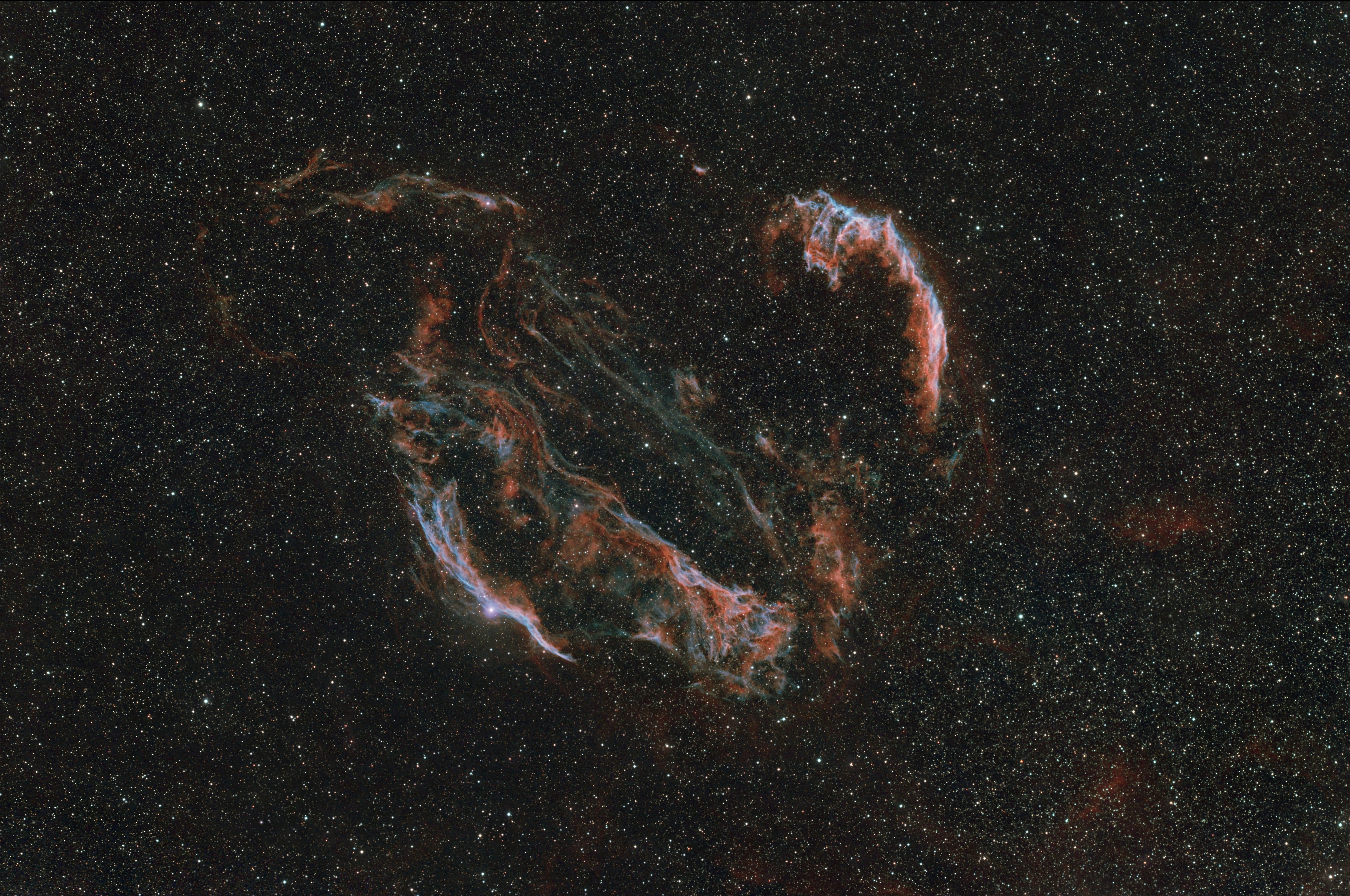 NGC 6995 - Řasy