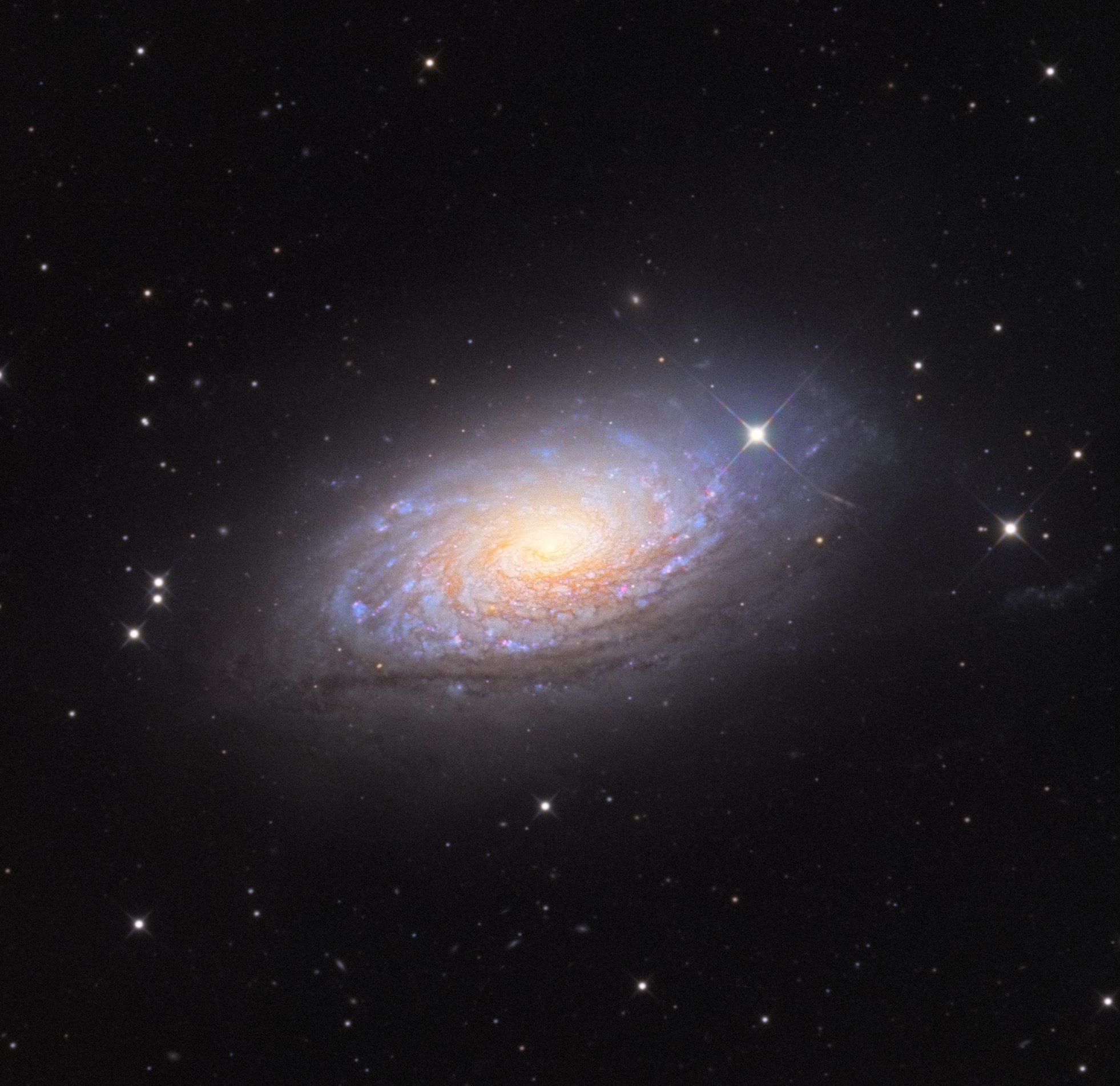M63